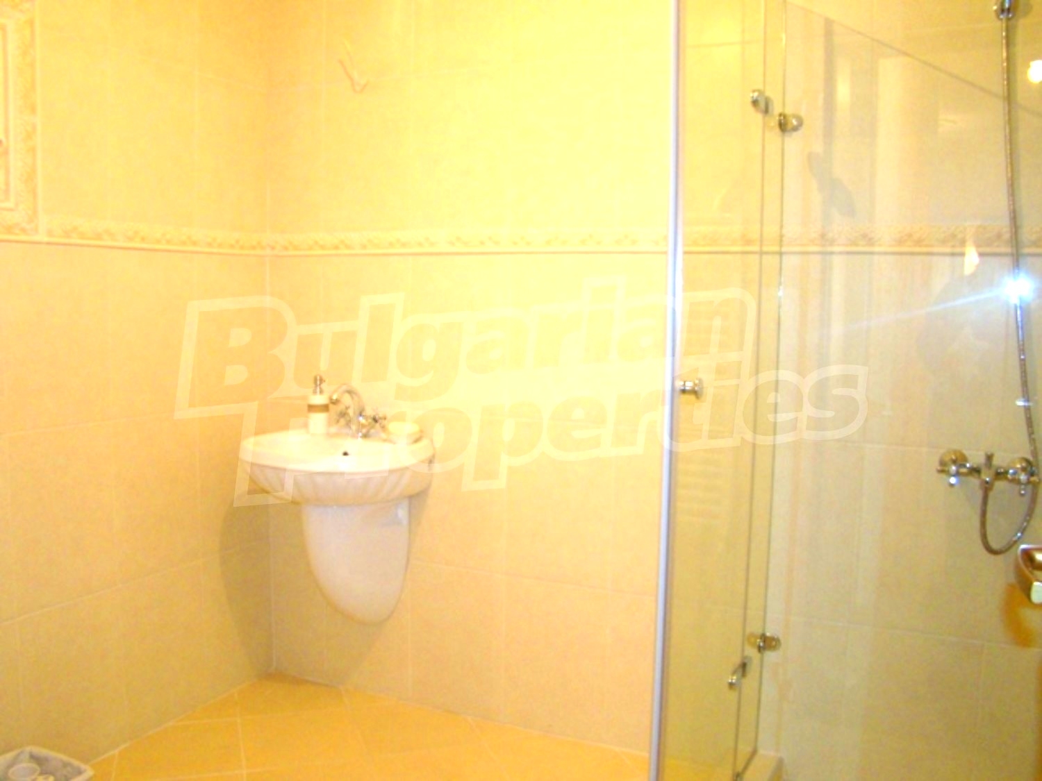 Gallery Picture 17