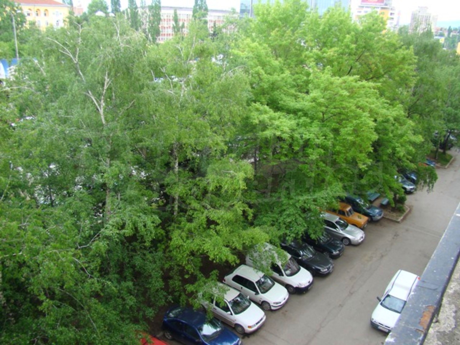 Gallery Picture 10
