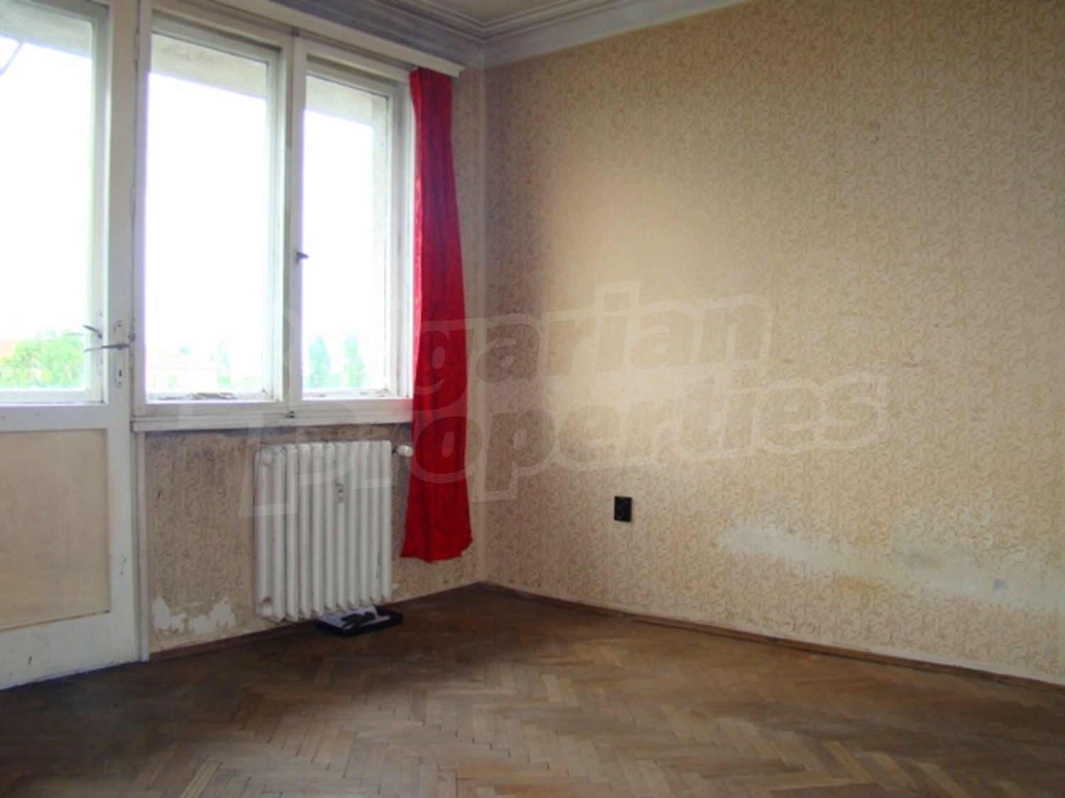 Gallery Picture 11