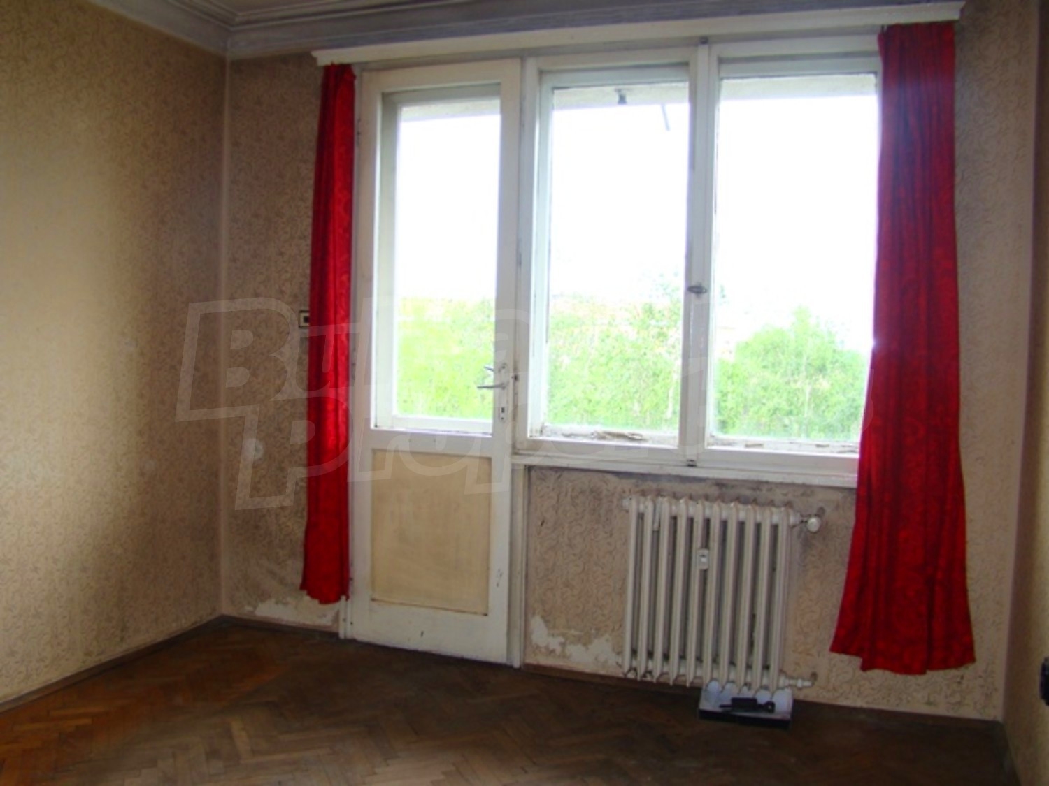 Gallery Picture 12