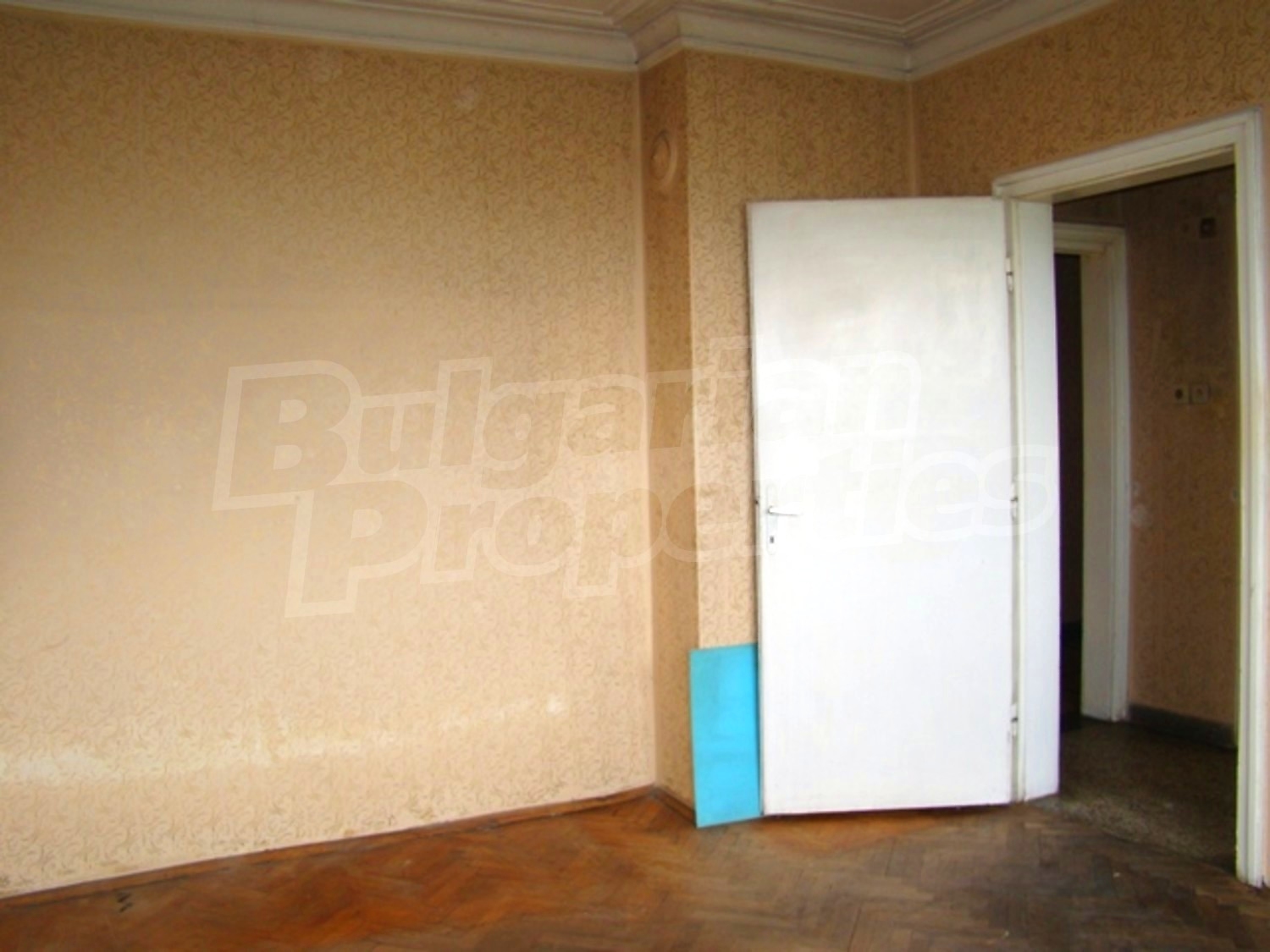 Gallery Picture 13