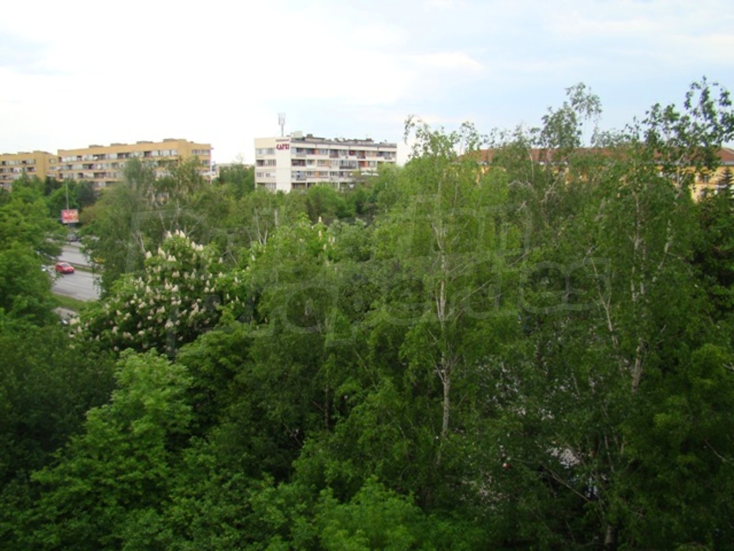 Gallery Picture 15