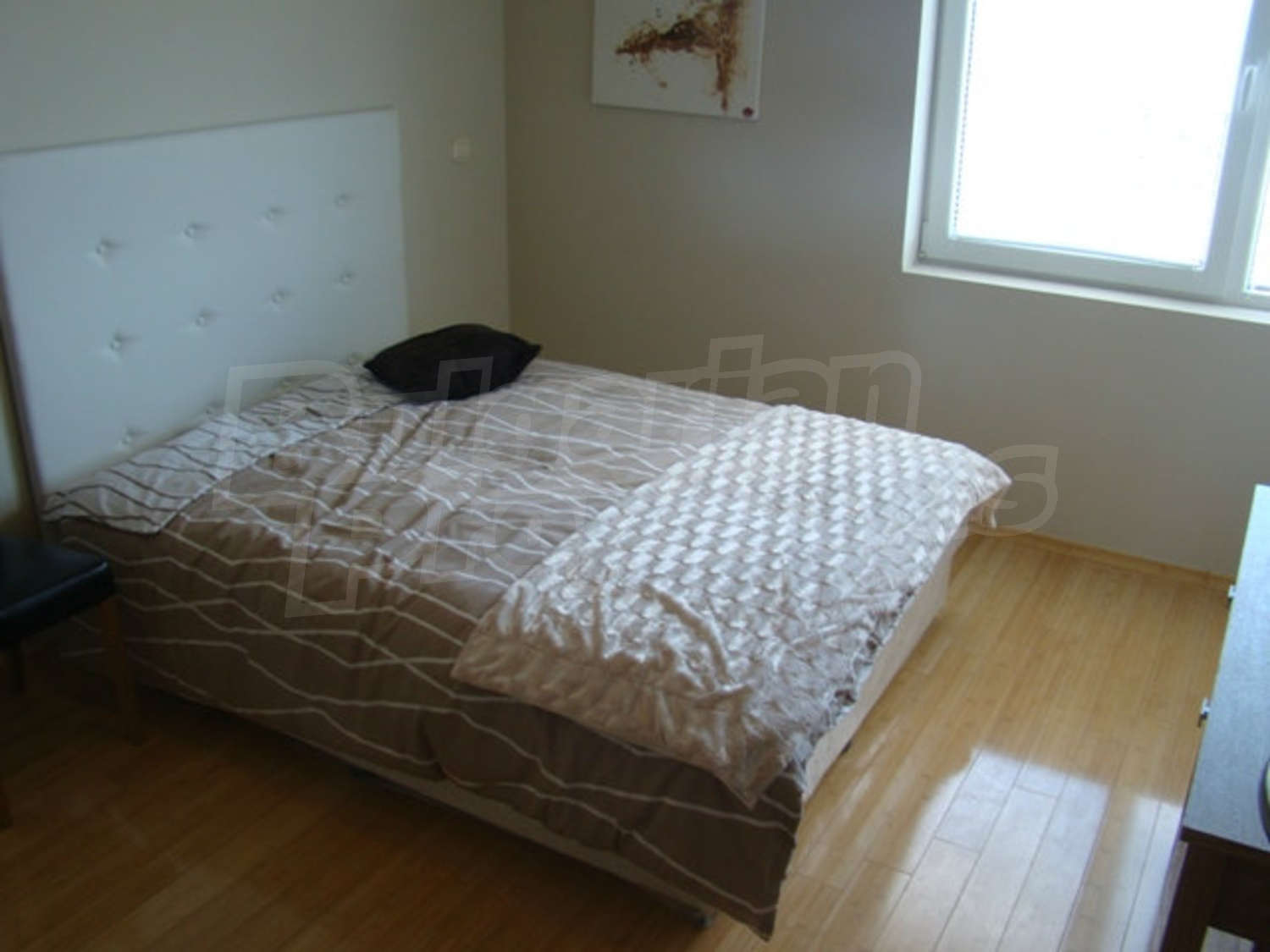 Gallery Picture 19