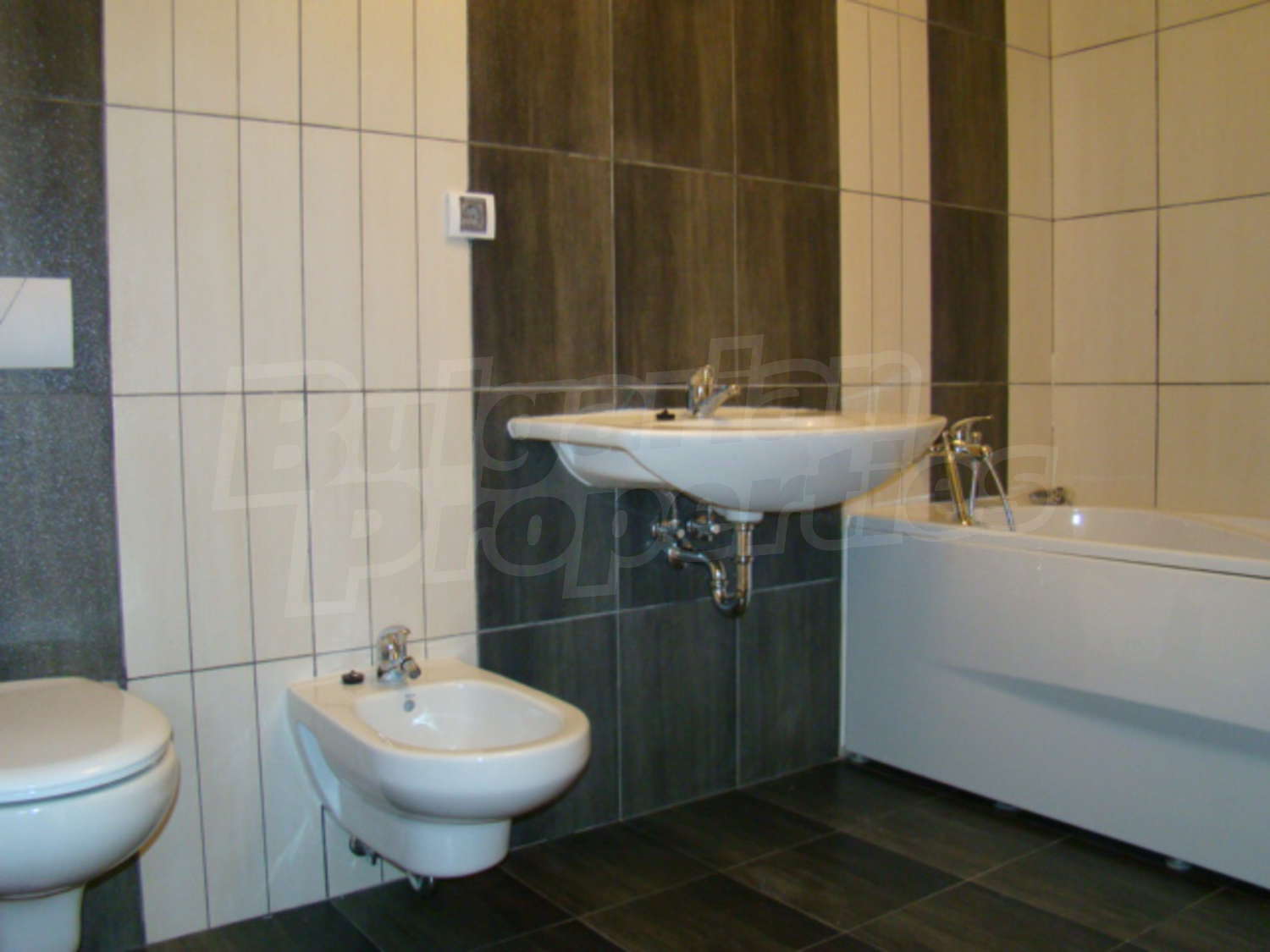 Gallery Picture 25