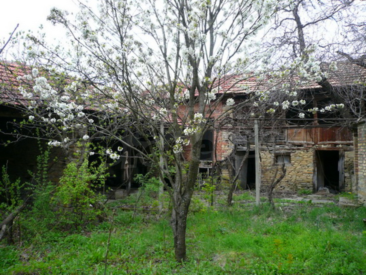 Gallery Picture 10