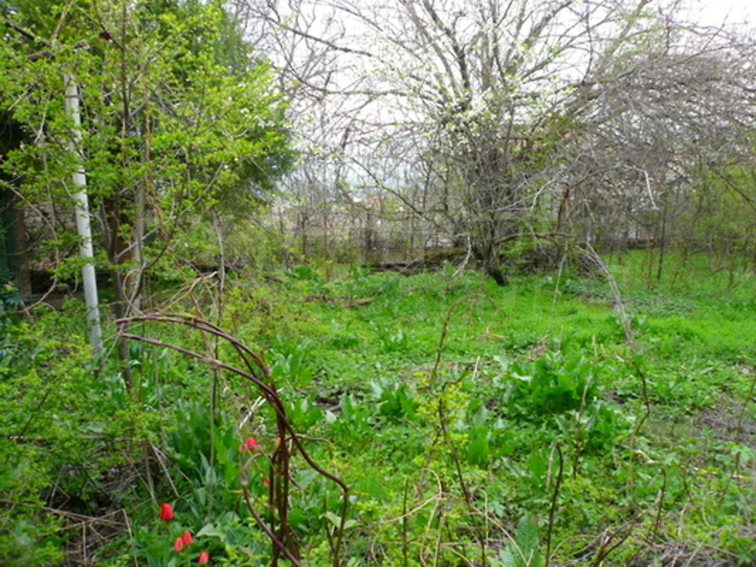 Gallery Picture 11