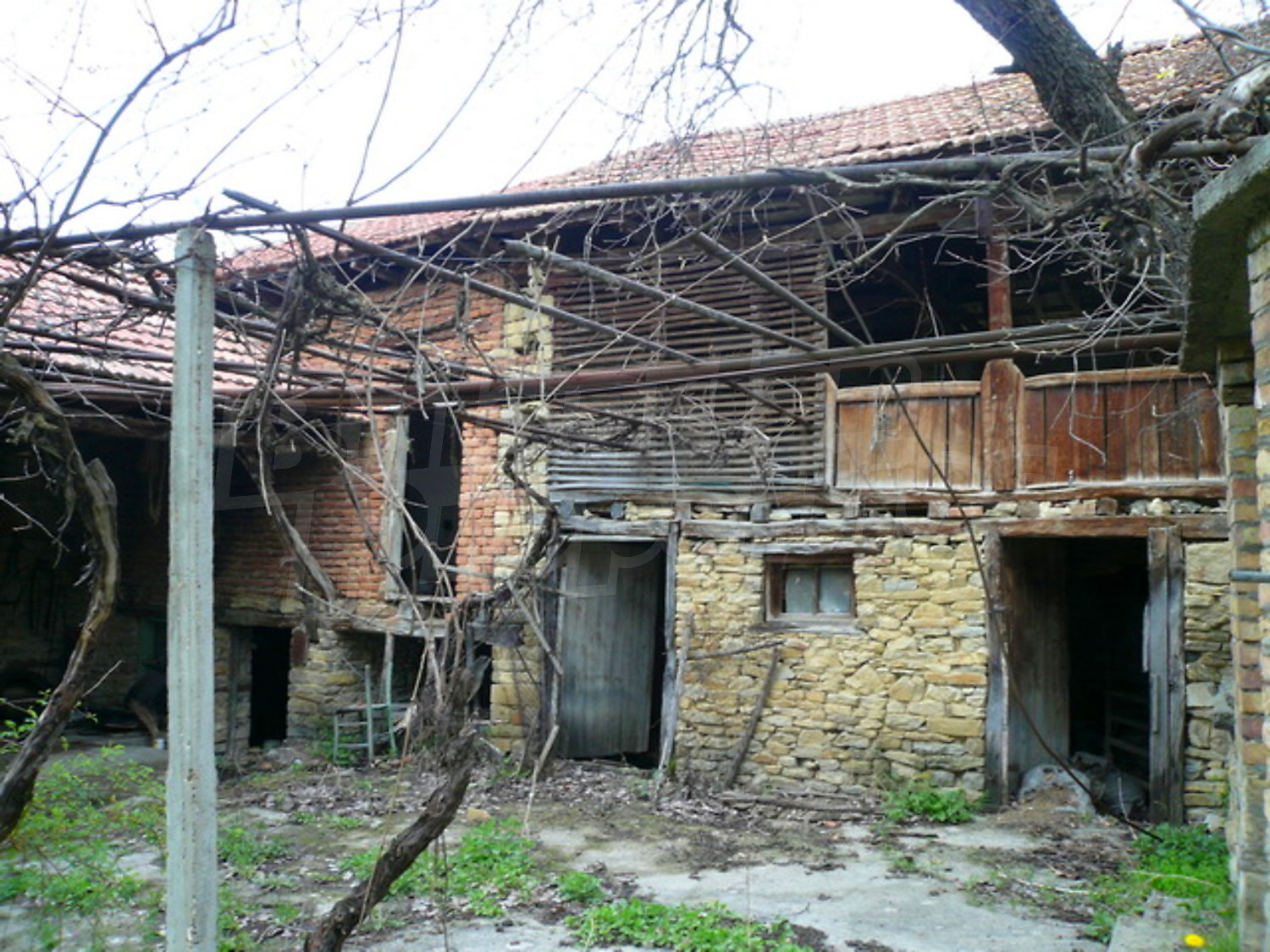 Gallery Picture 12