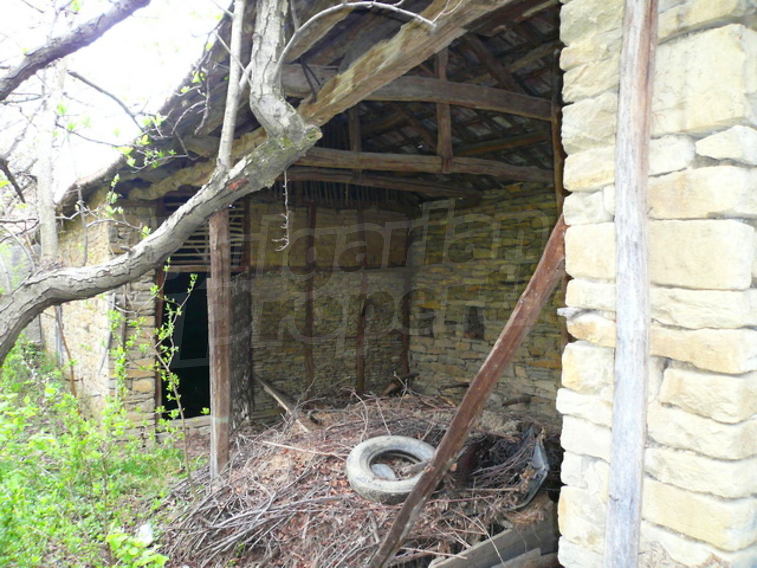 Gallery Picture 13