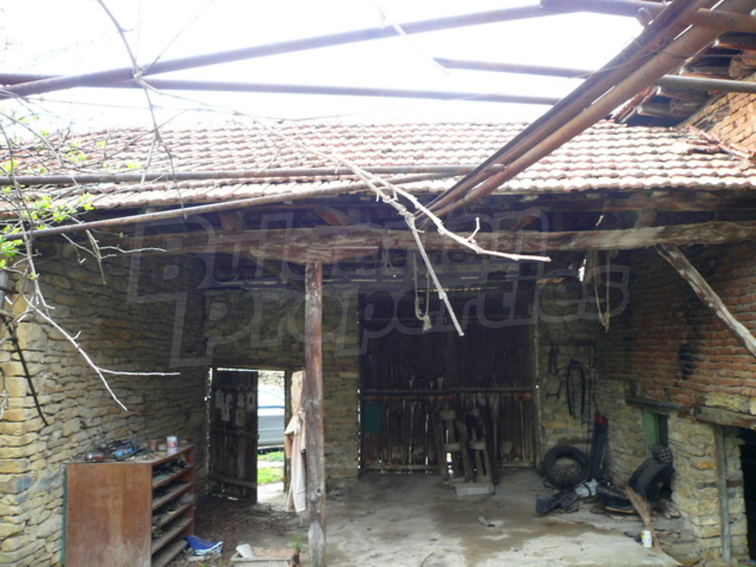 Gallery Picture 14