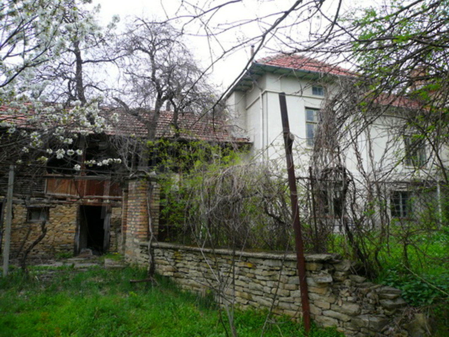 Gallery Picture 15
