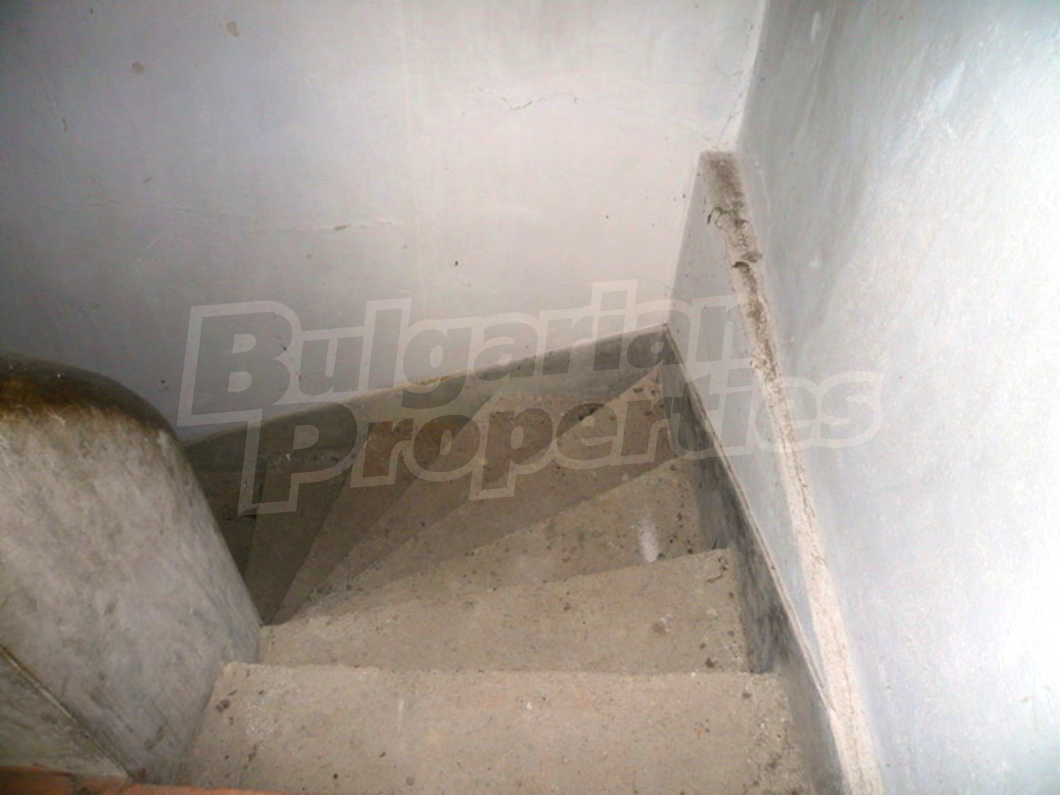 Gallery Picture 5