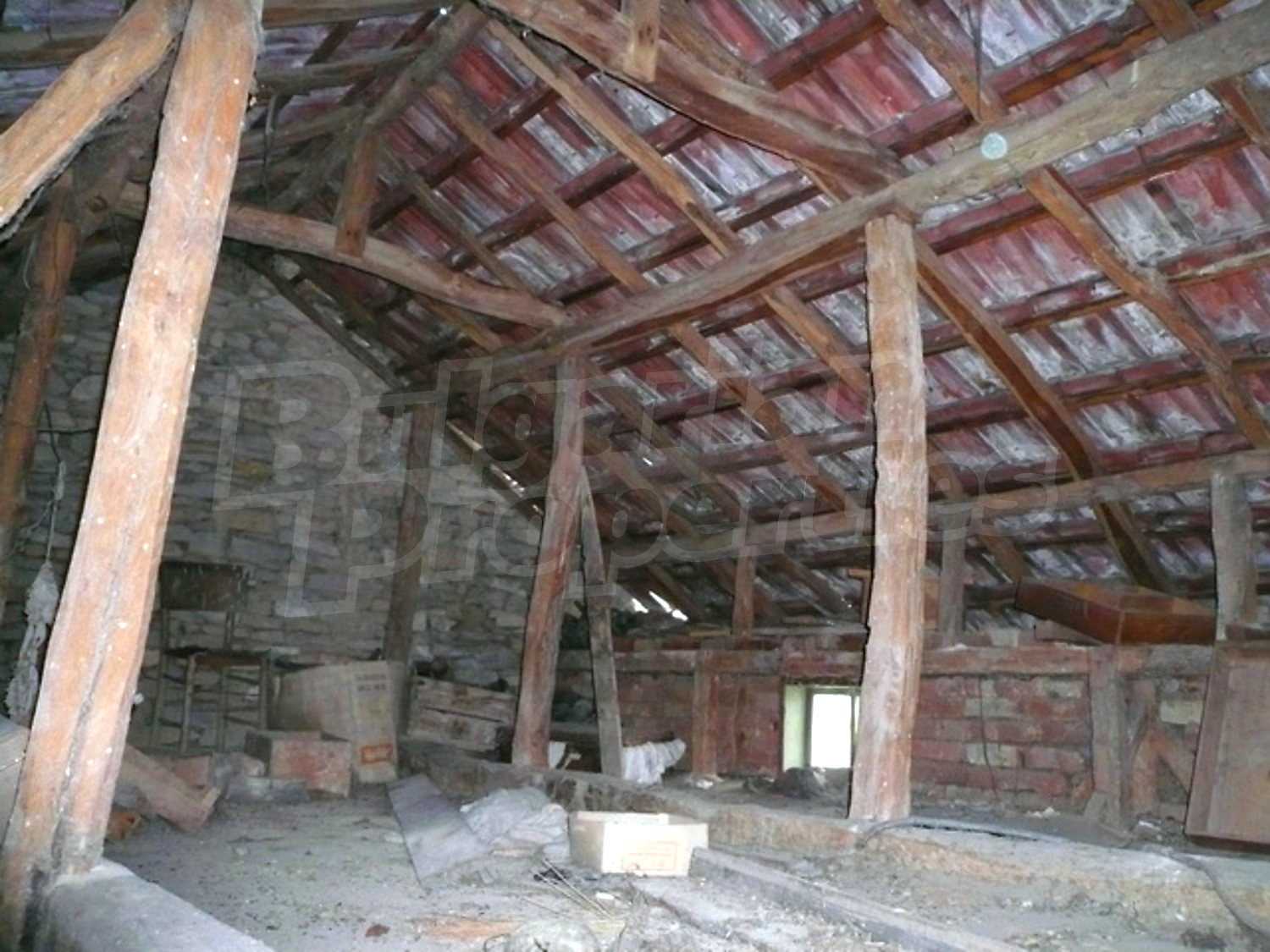 Gallery Picture 9