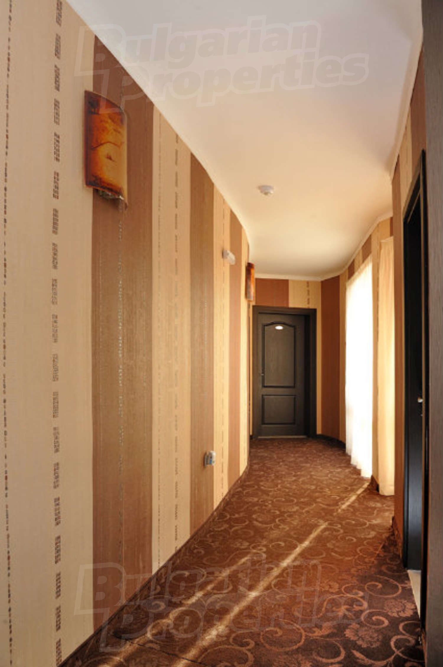 Gallery Picture 14