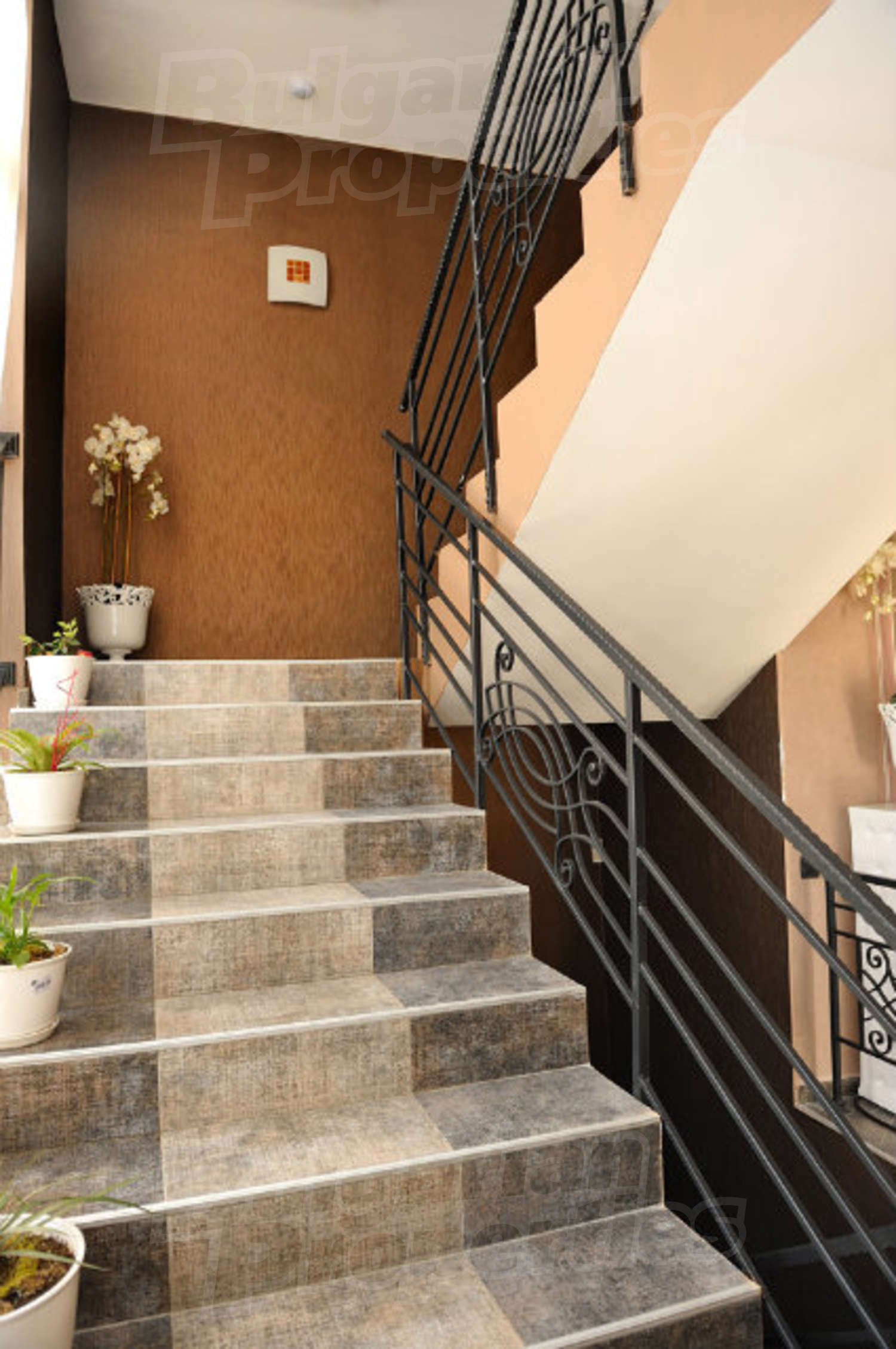 Gallery Picture 15