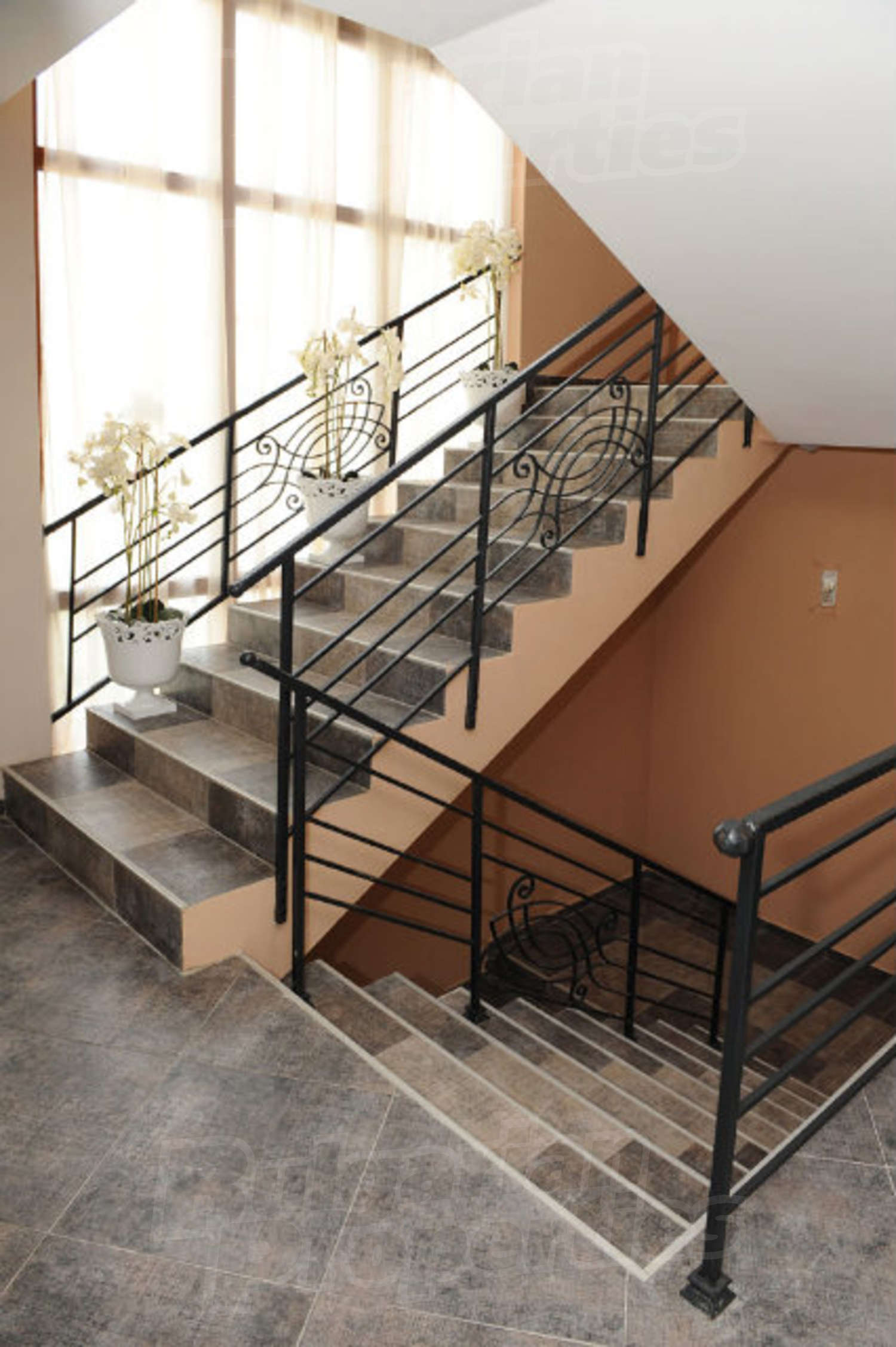 Gallery Picture 16