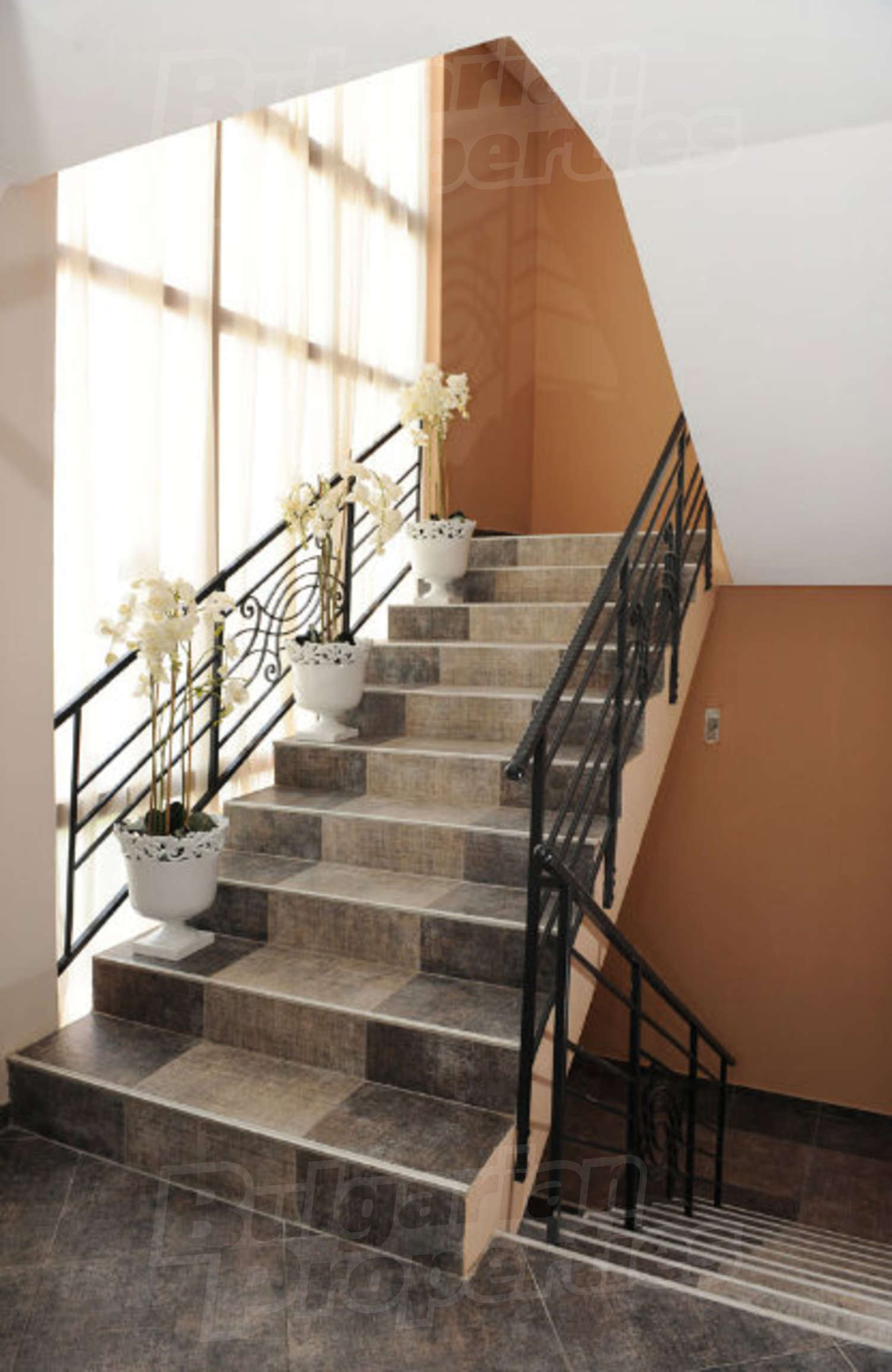 Gallery Picture 17