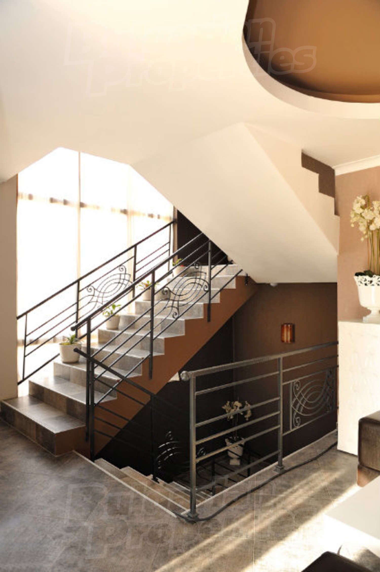 Gallery Picture 8