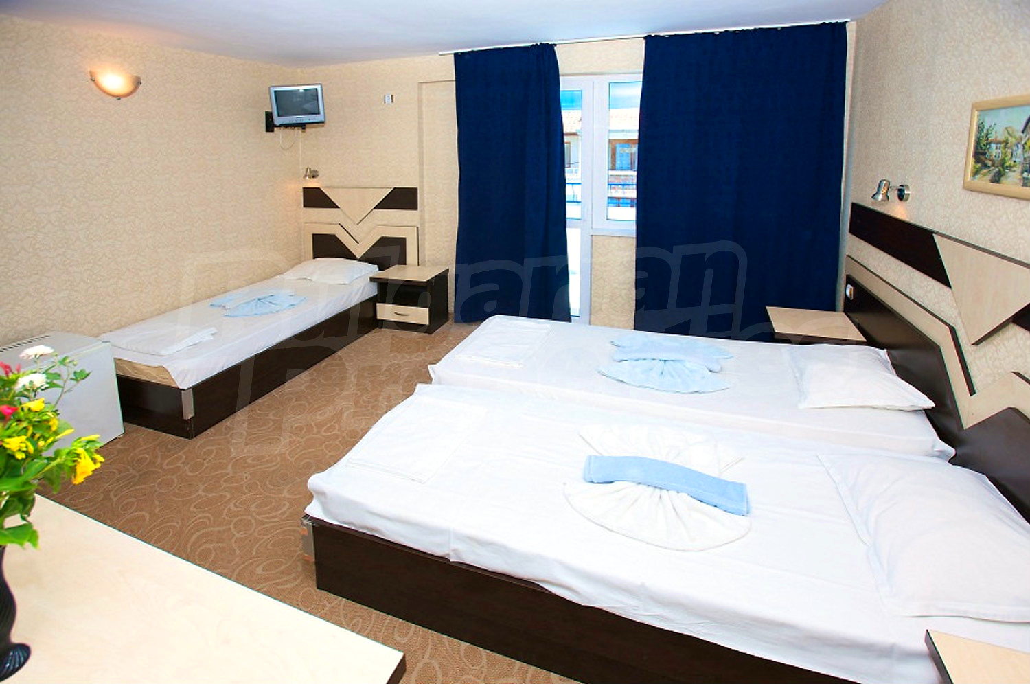 Gallery Picture 16