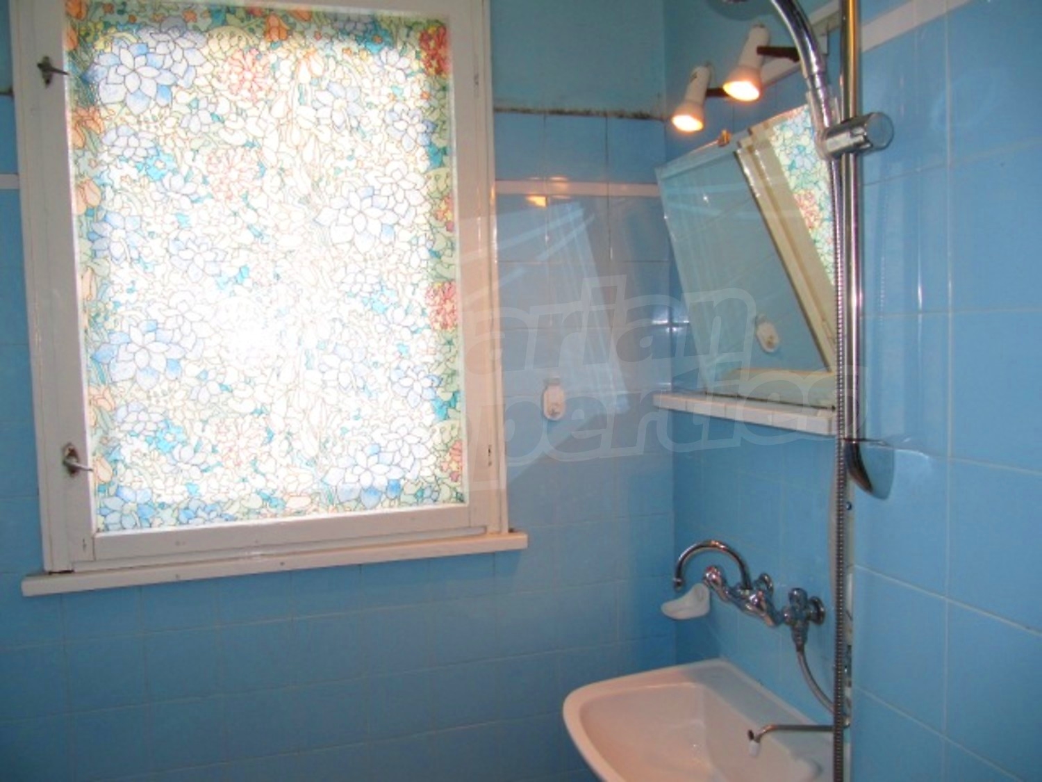 Gallery Picture 14