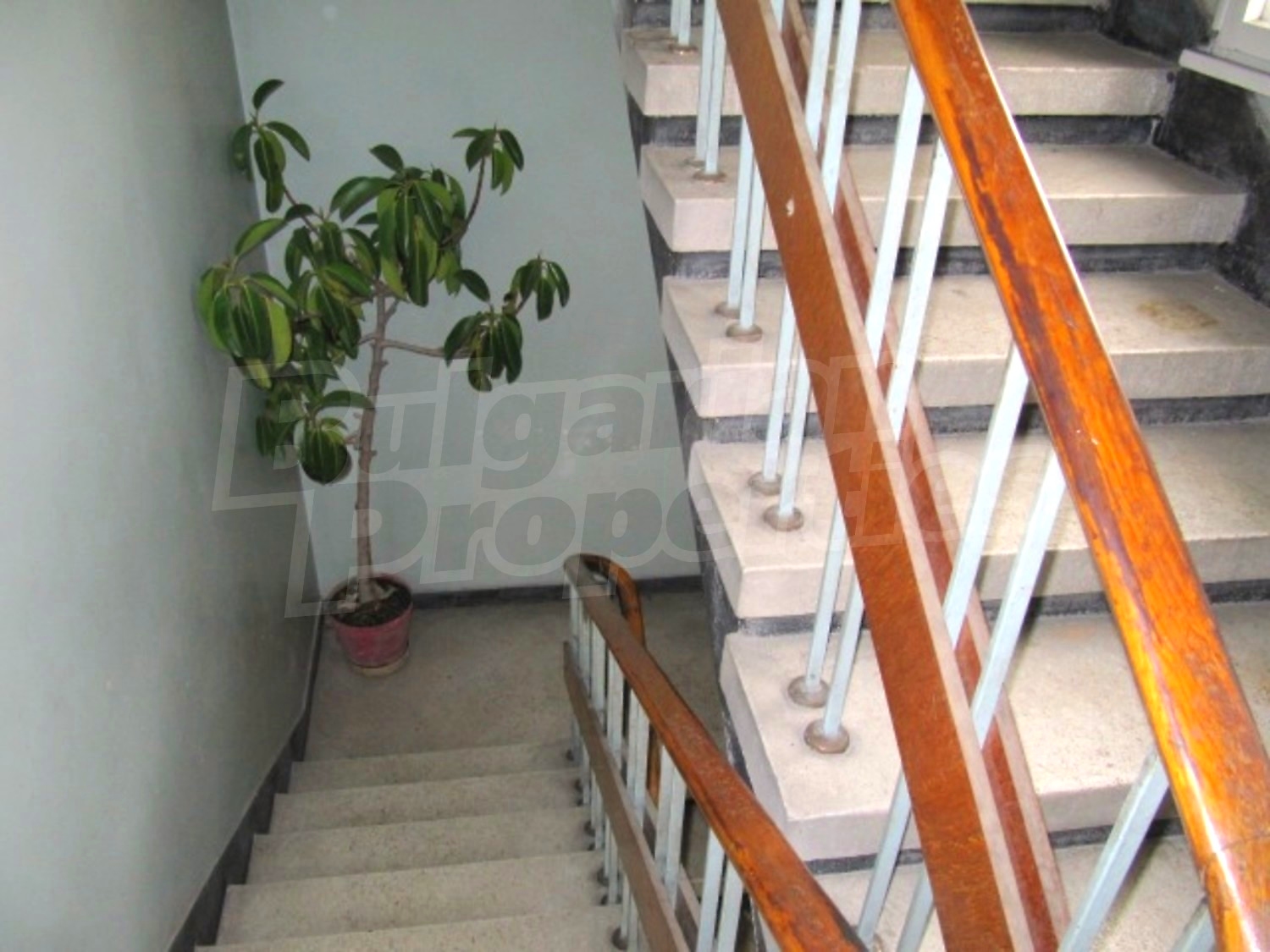 Gallery Picture 15