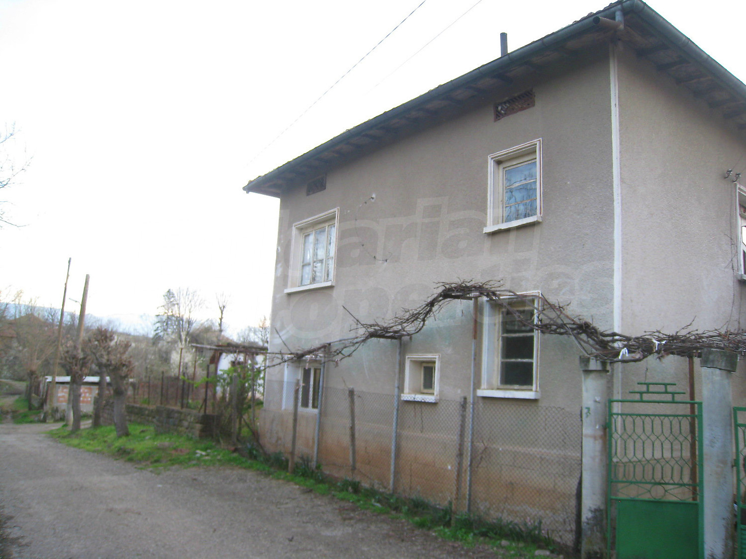Gallery Picture 21