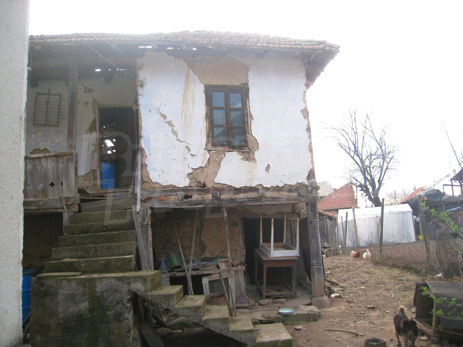 Gallery Picture 23