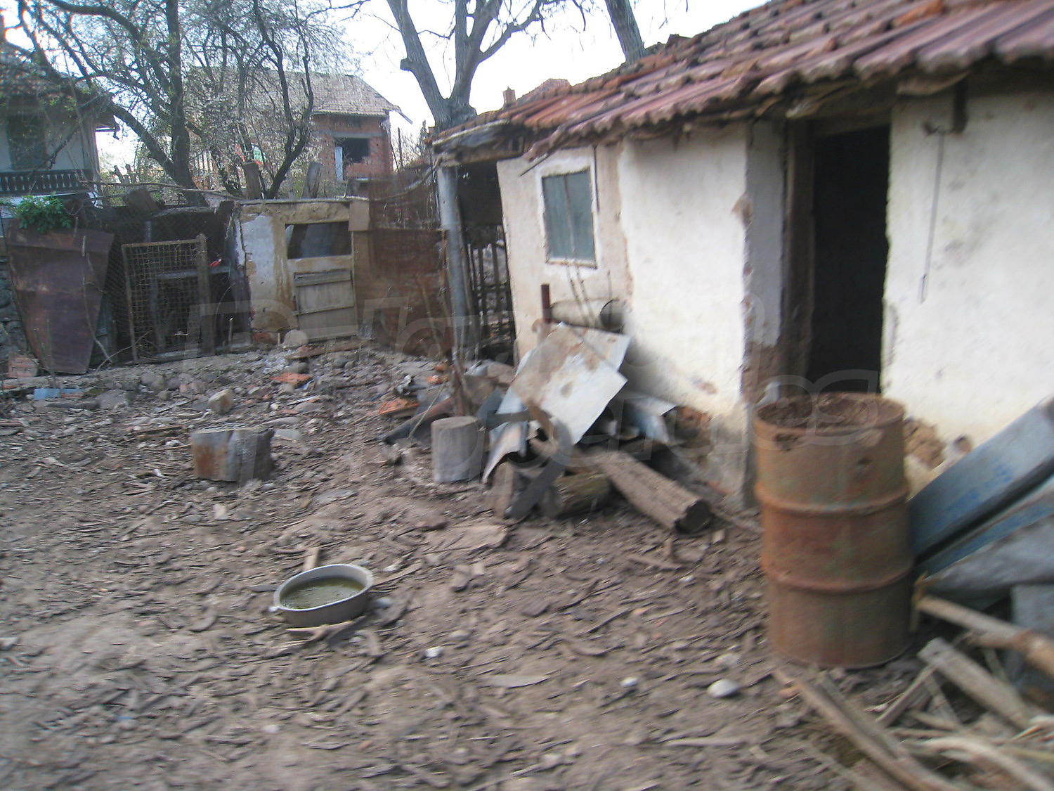 Gallery Picture 25