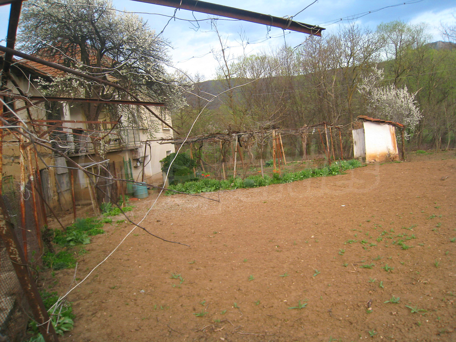 Gallery Picture 30