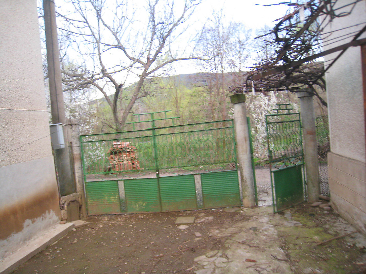 Gallery Picture 34