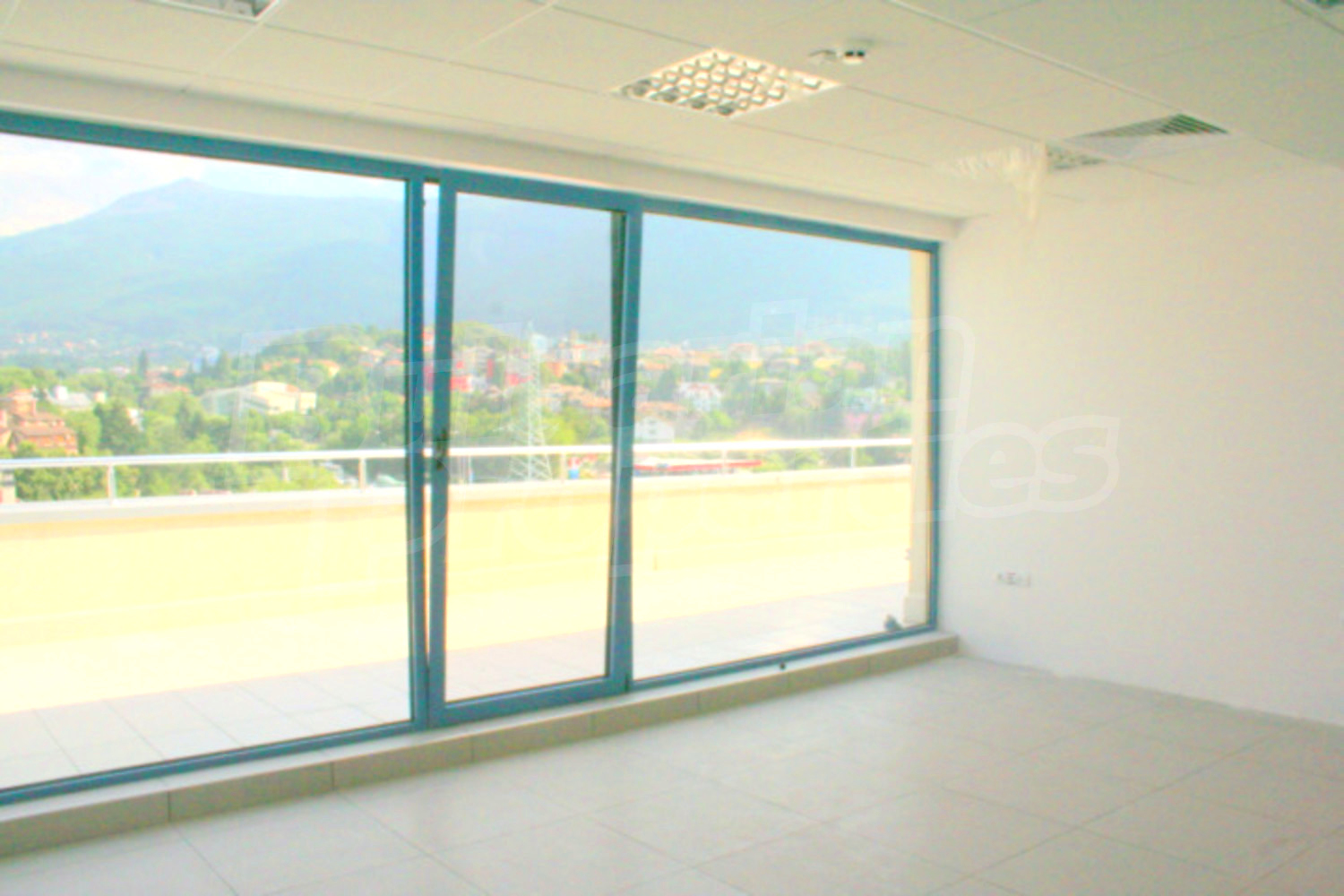 Gallery Picture 5