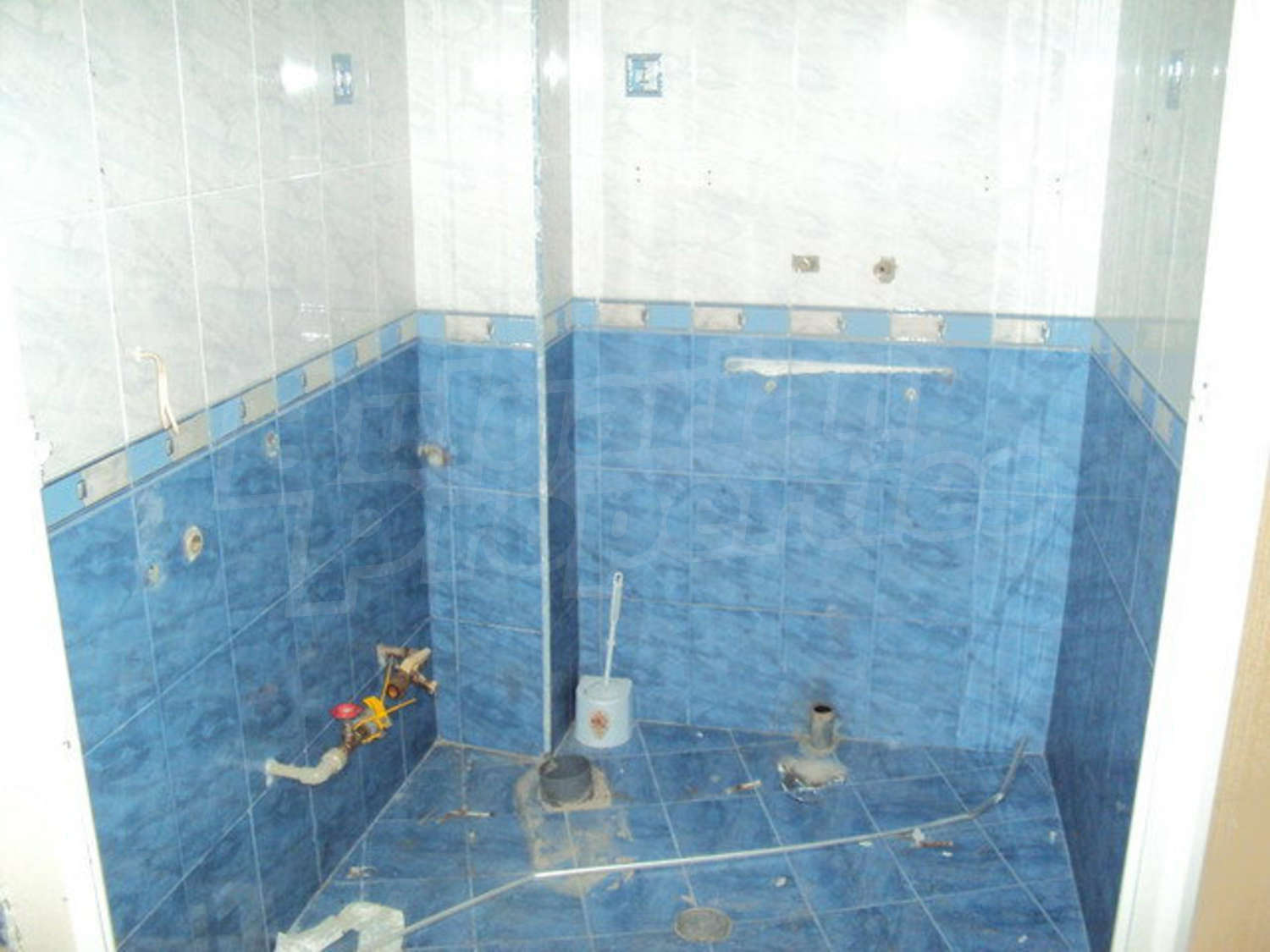Gallery Picture 12