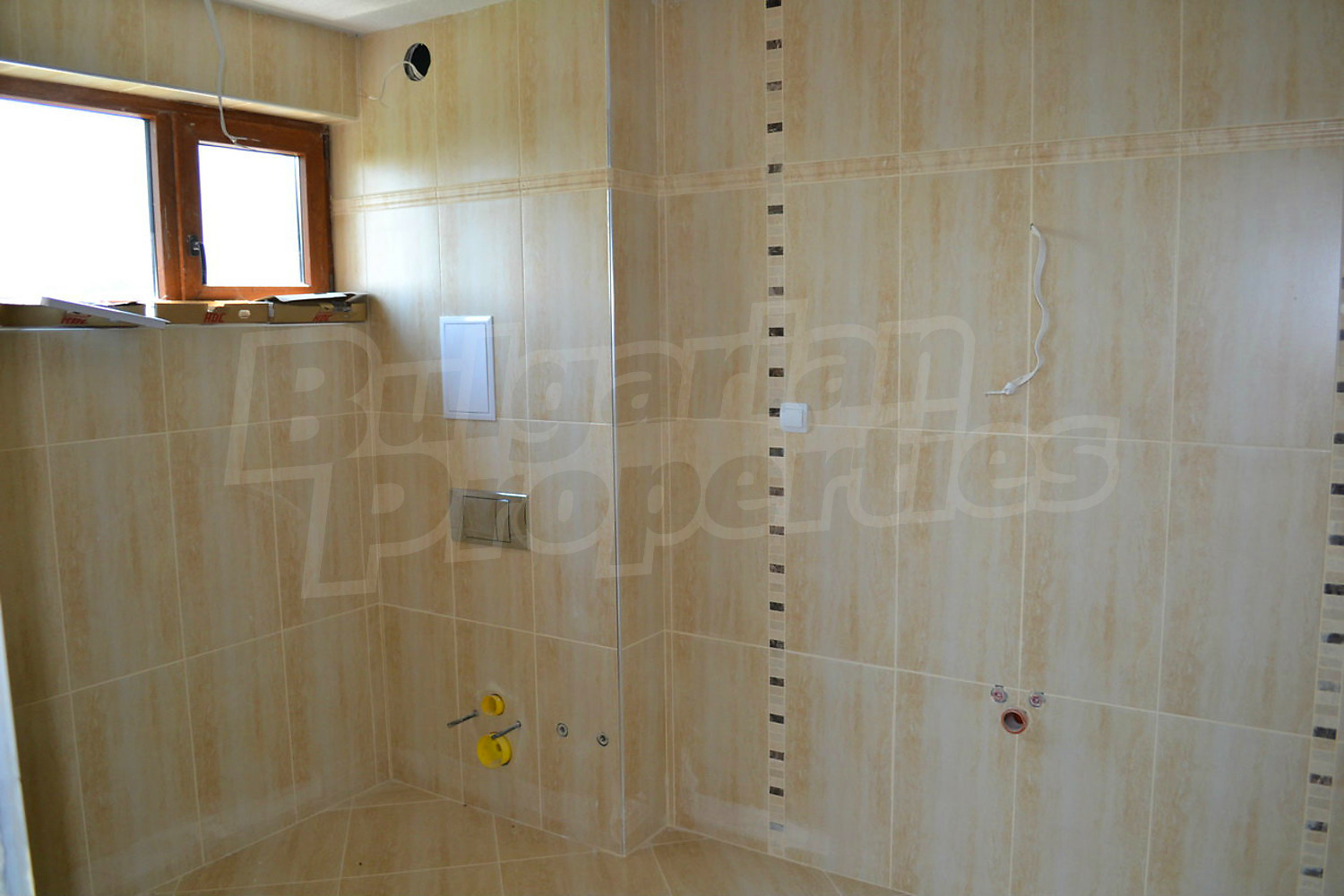 Gallery Picture 11