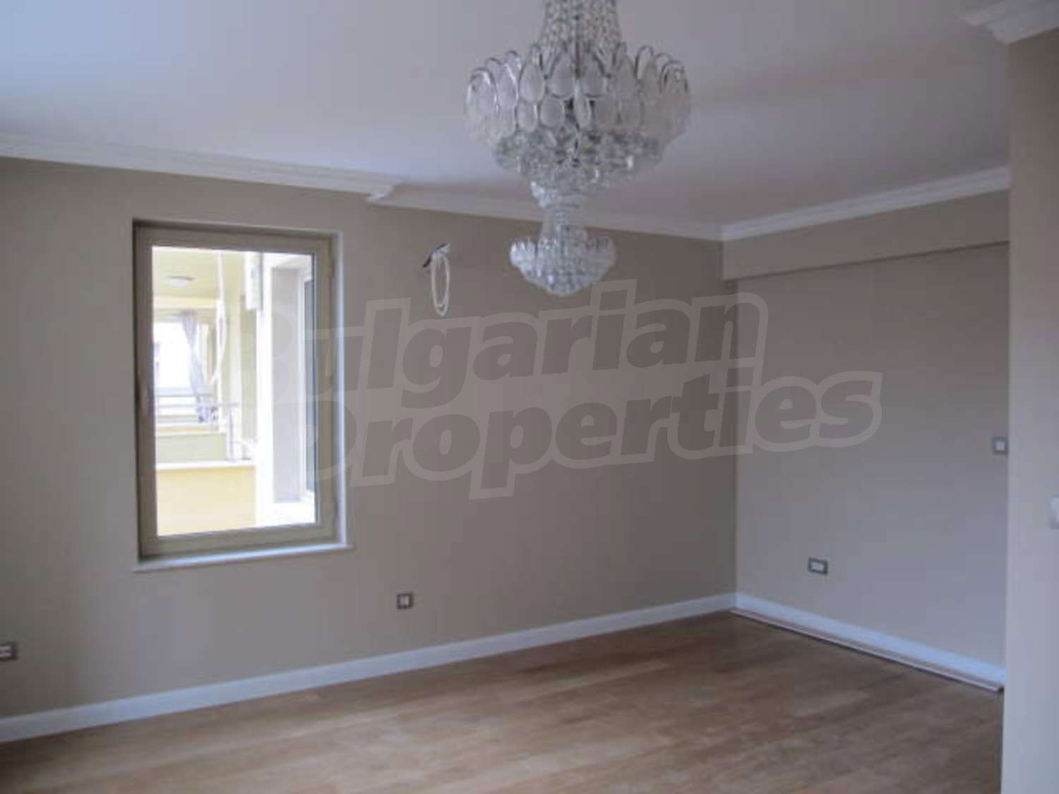 Gallery Picture 13