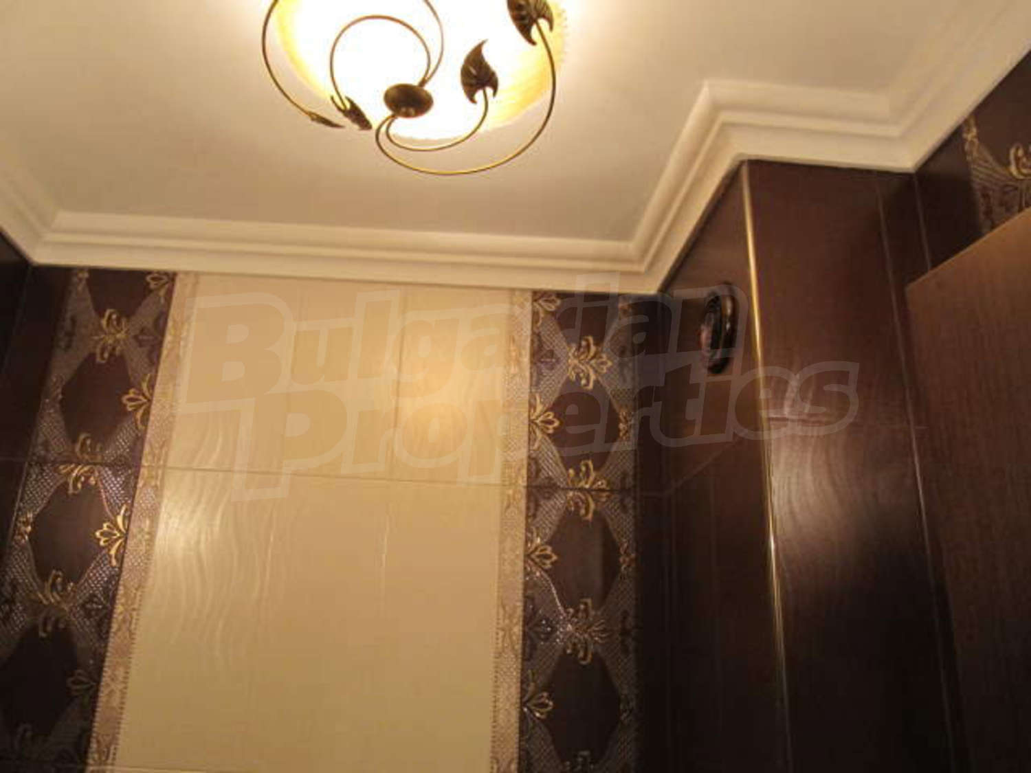 Gallery Picture 19