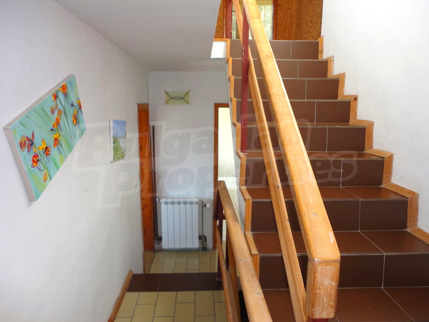 Gallery Picture 19