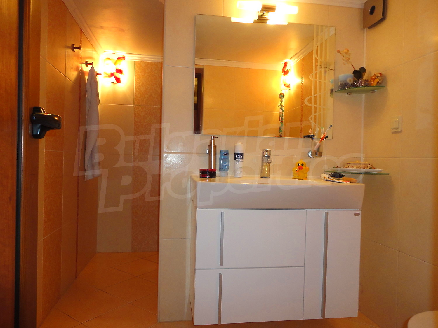 Gallery Picture 28