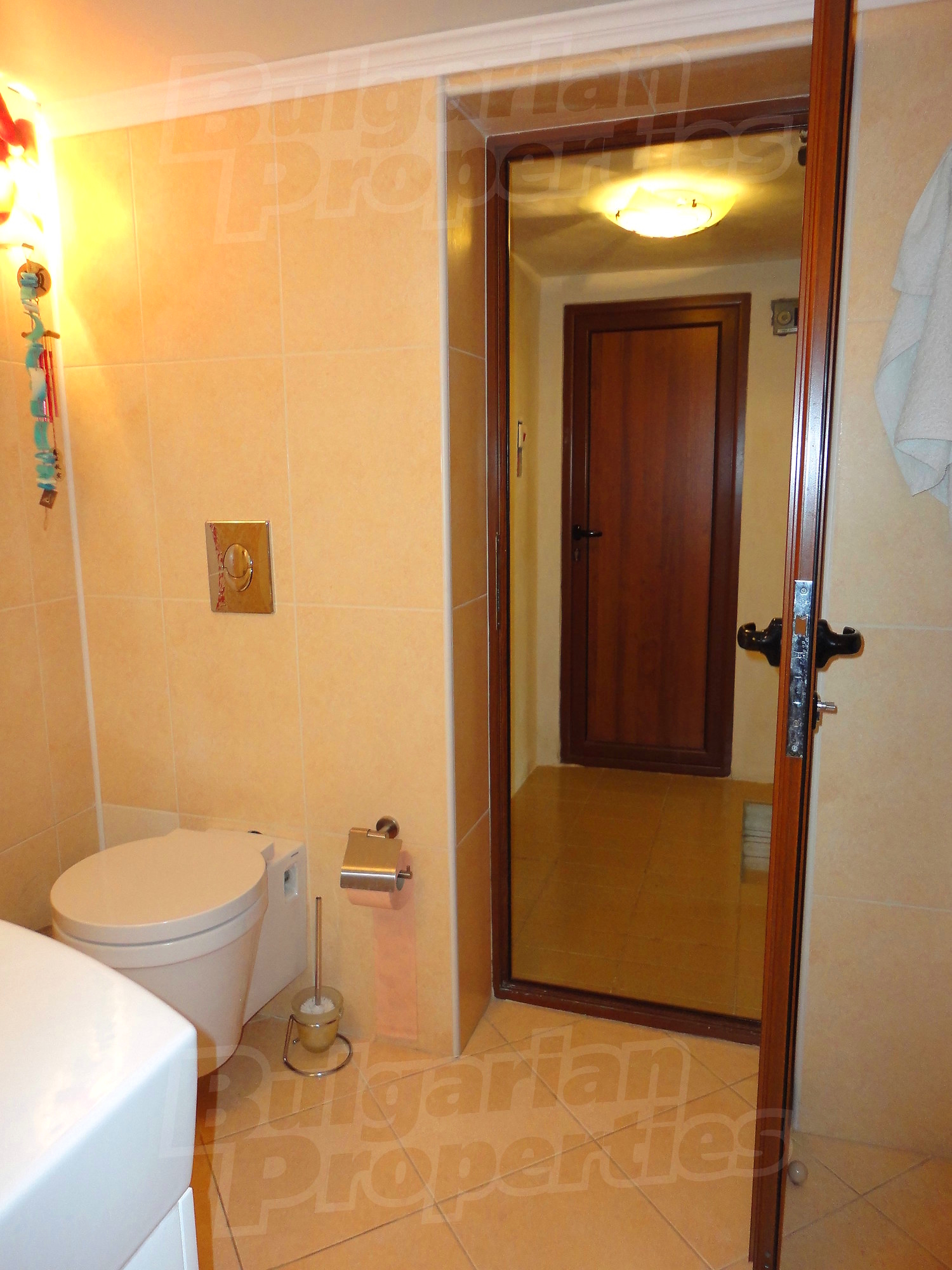 Gallery Picture 29