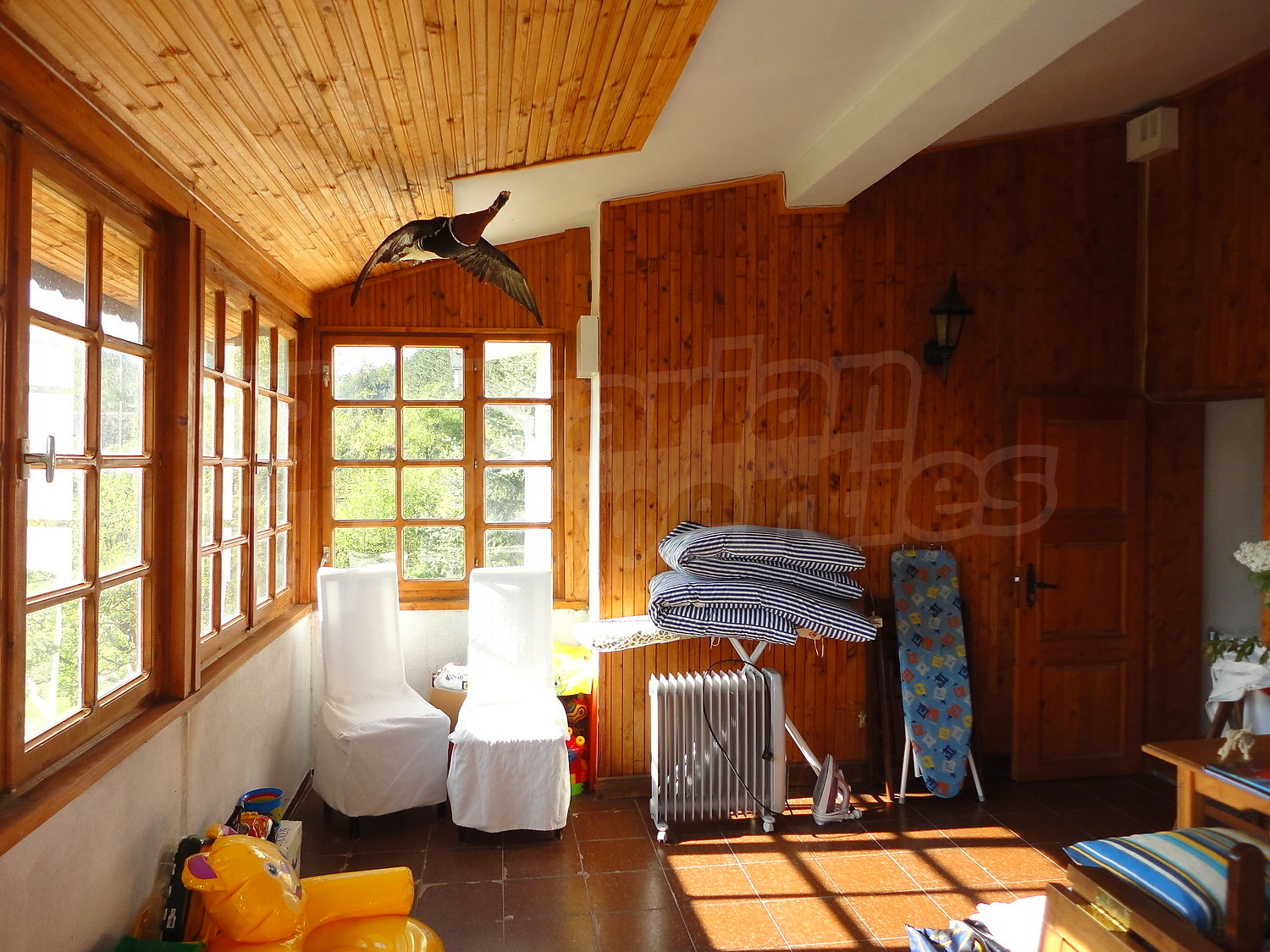 Gallery Picture 30