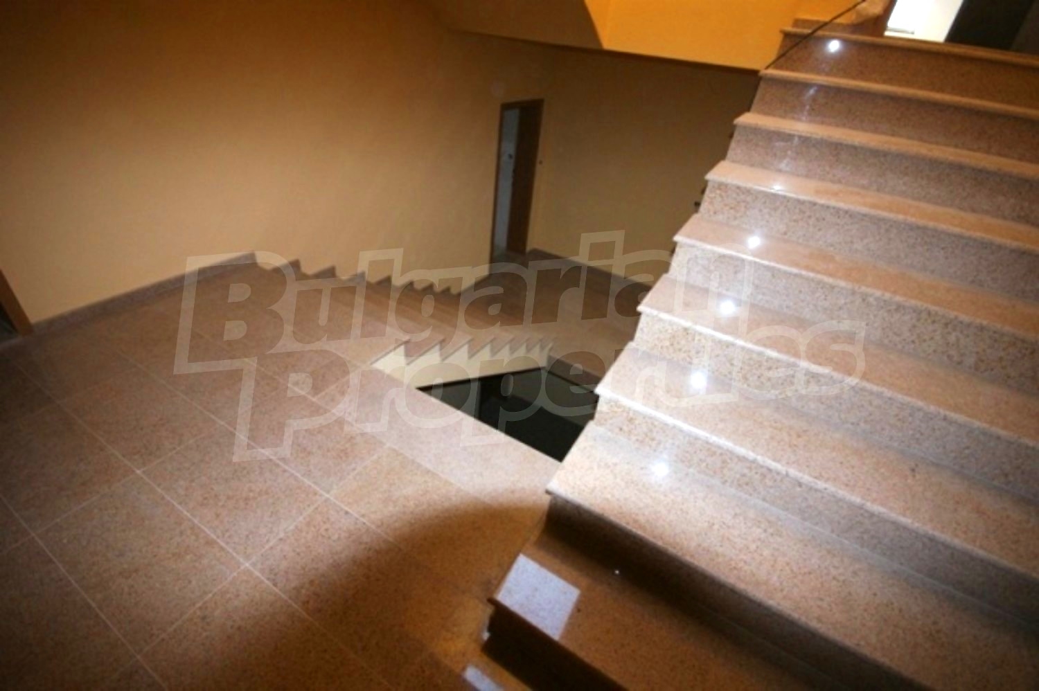 Gallery Picture 7