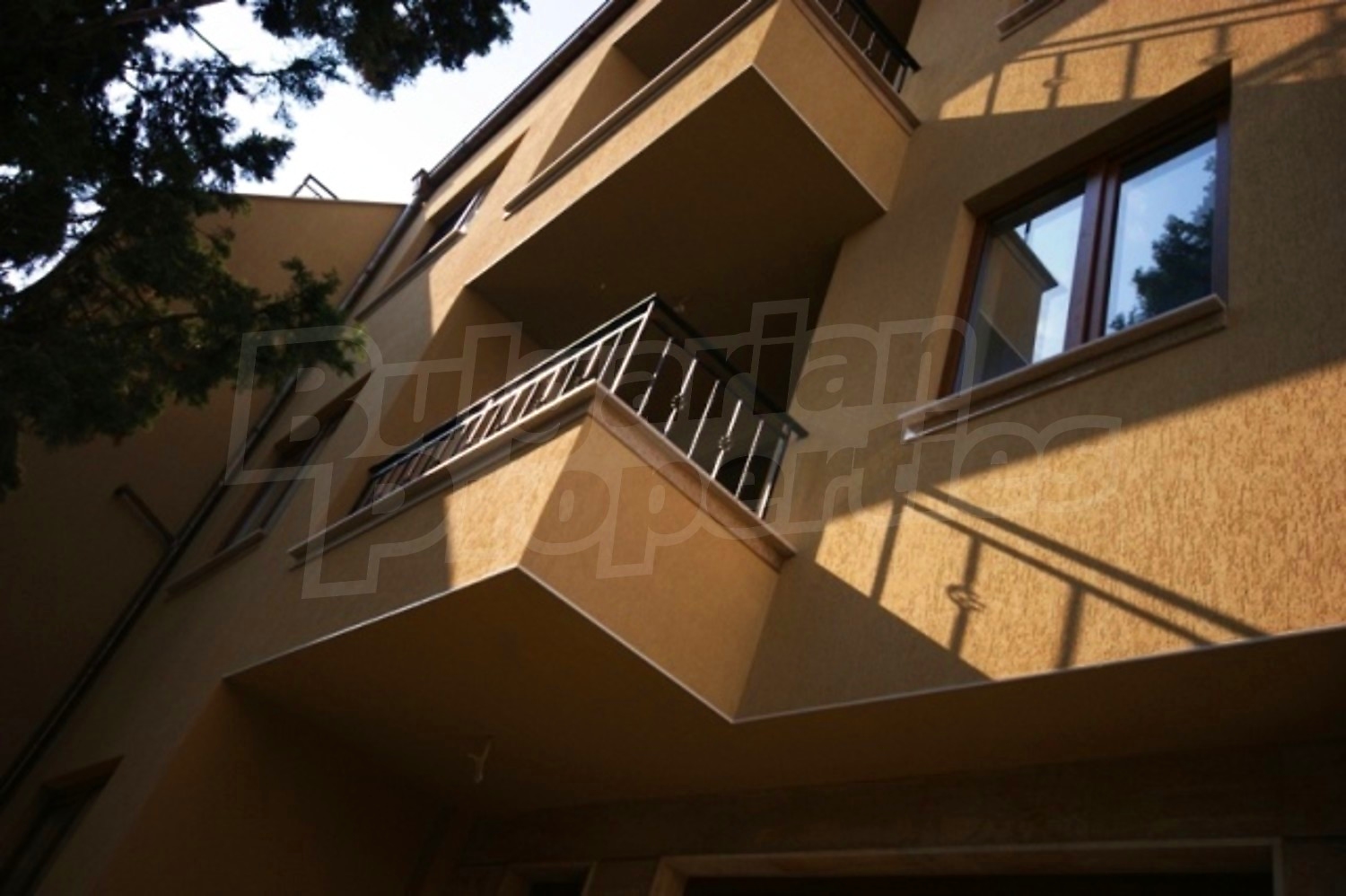 Gallery Picture 9