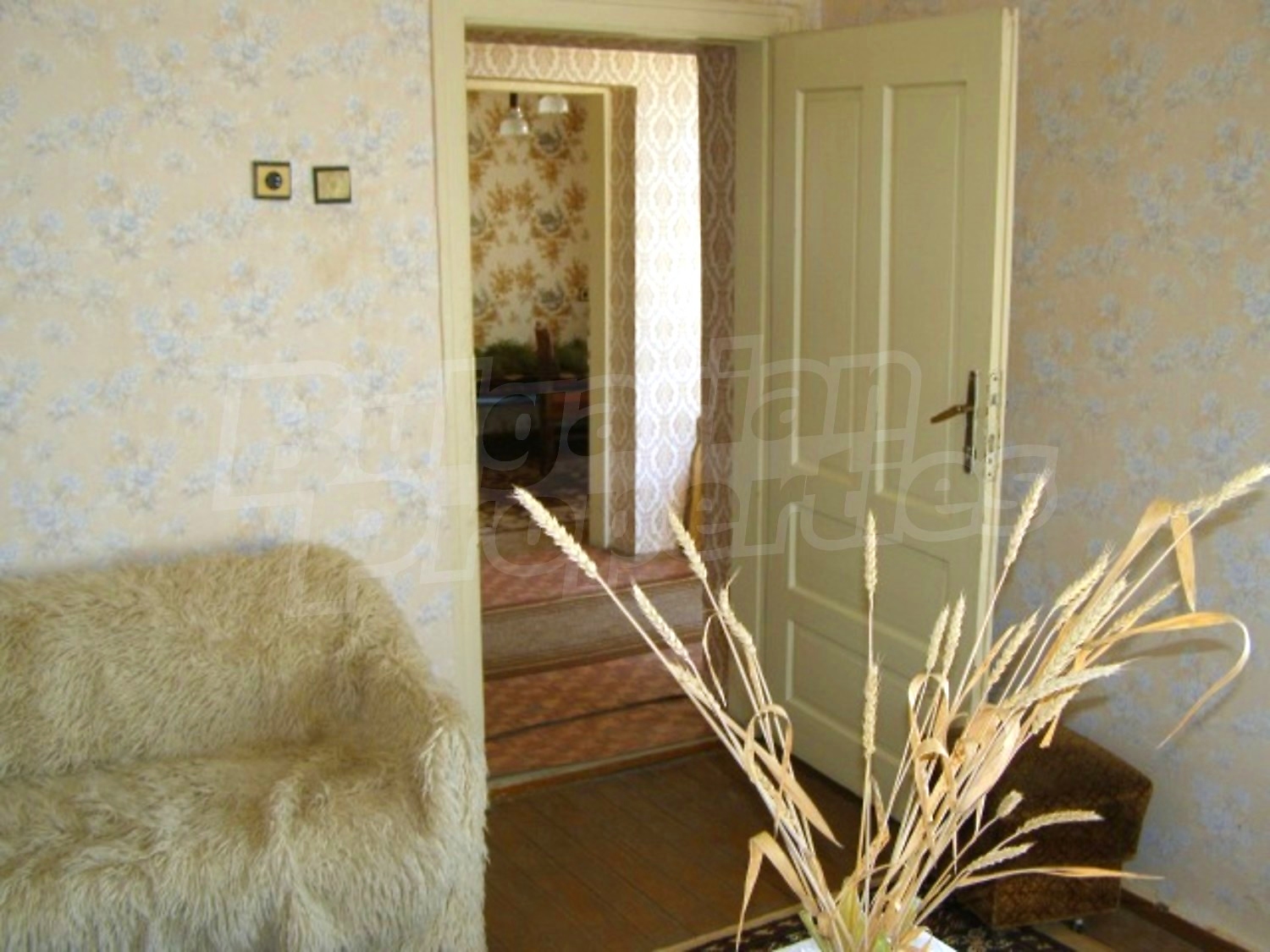 Gallery Picture 11