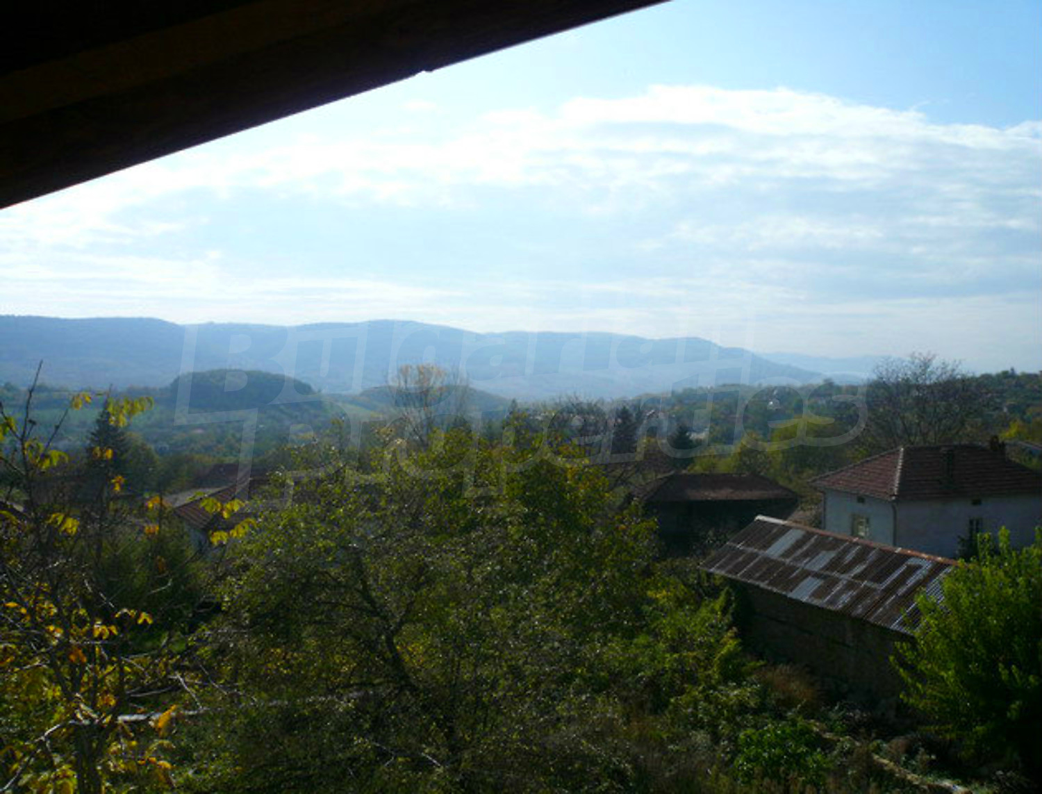 Gallery Picture 19