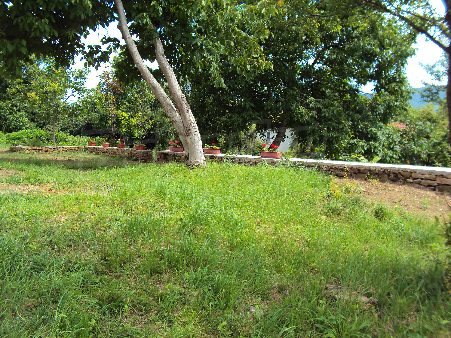 Gallery Picture 26