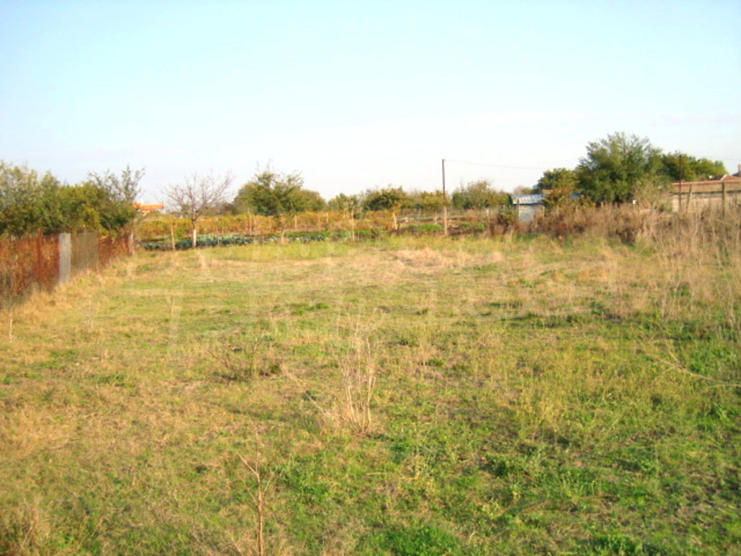 Gallery Picture 2