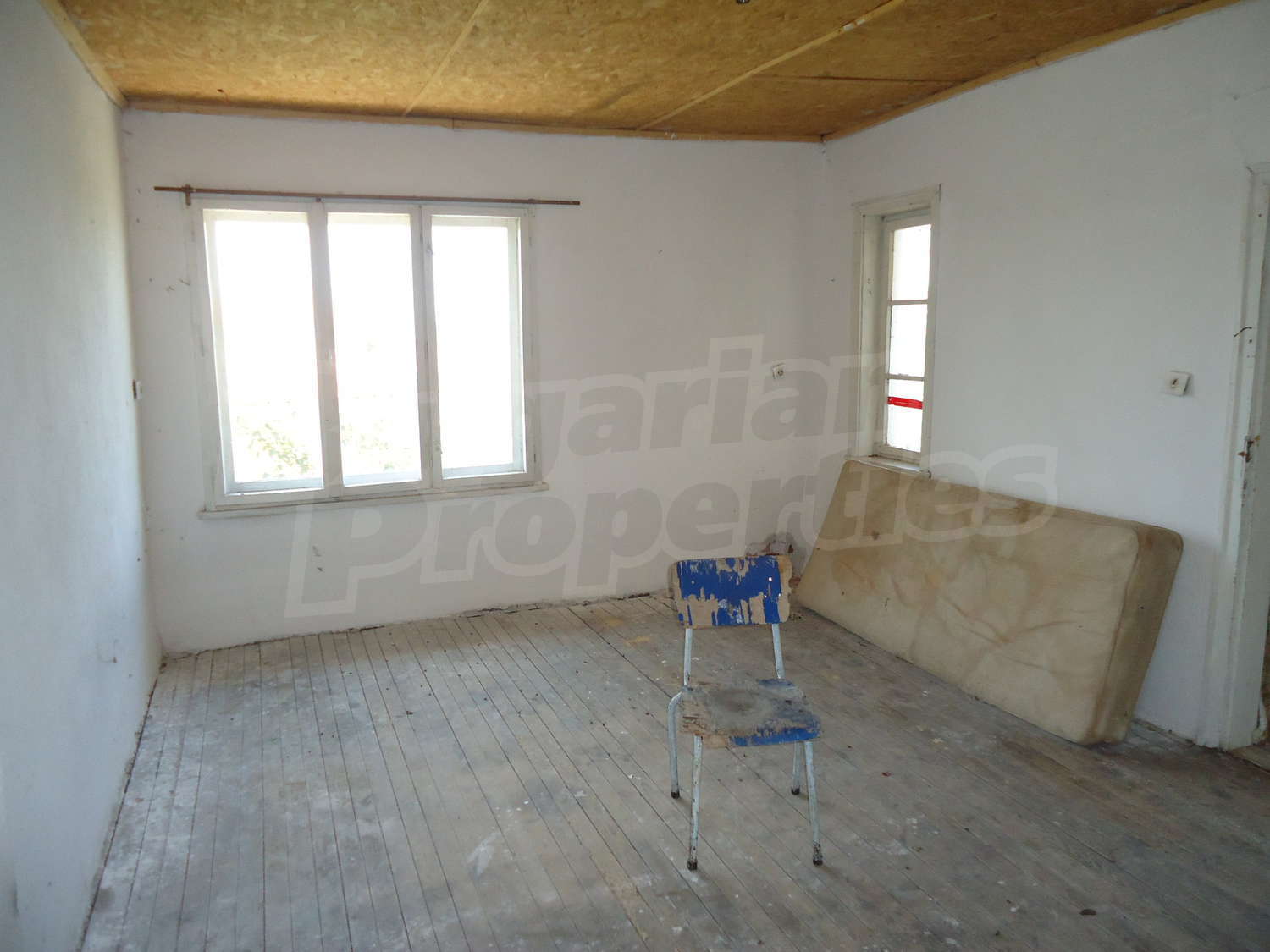 Gallery Picture 23