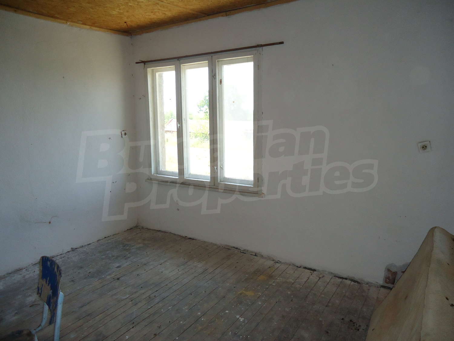 Gallery Picture 24