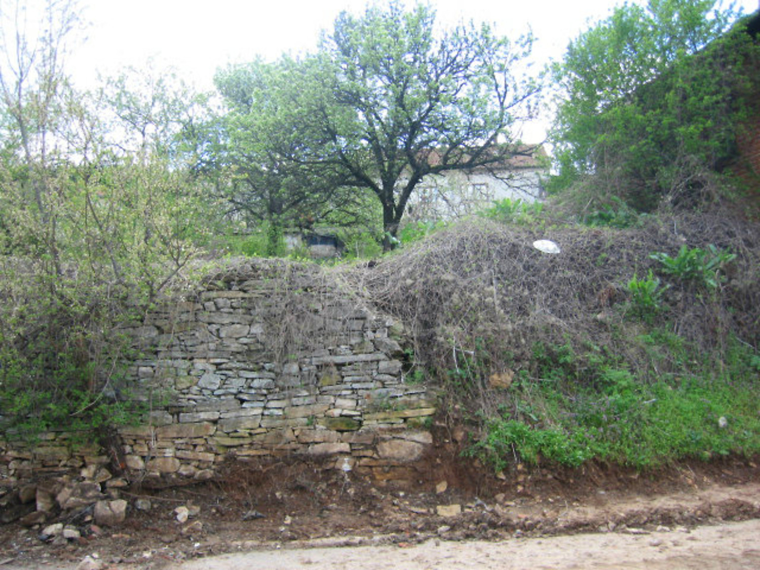 Gallery Picture 12