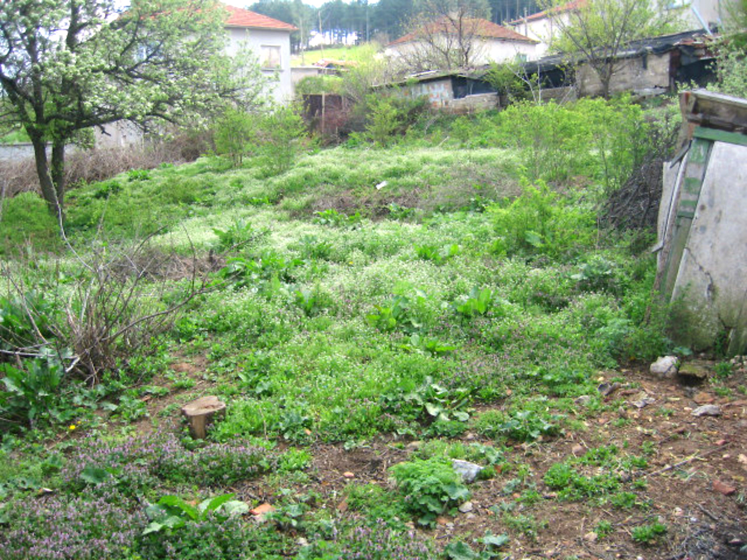 Gallery Picture 15