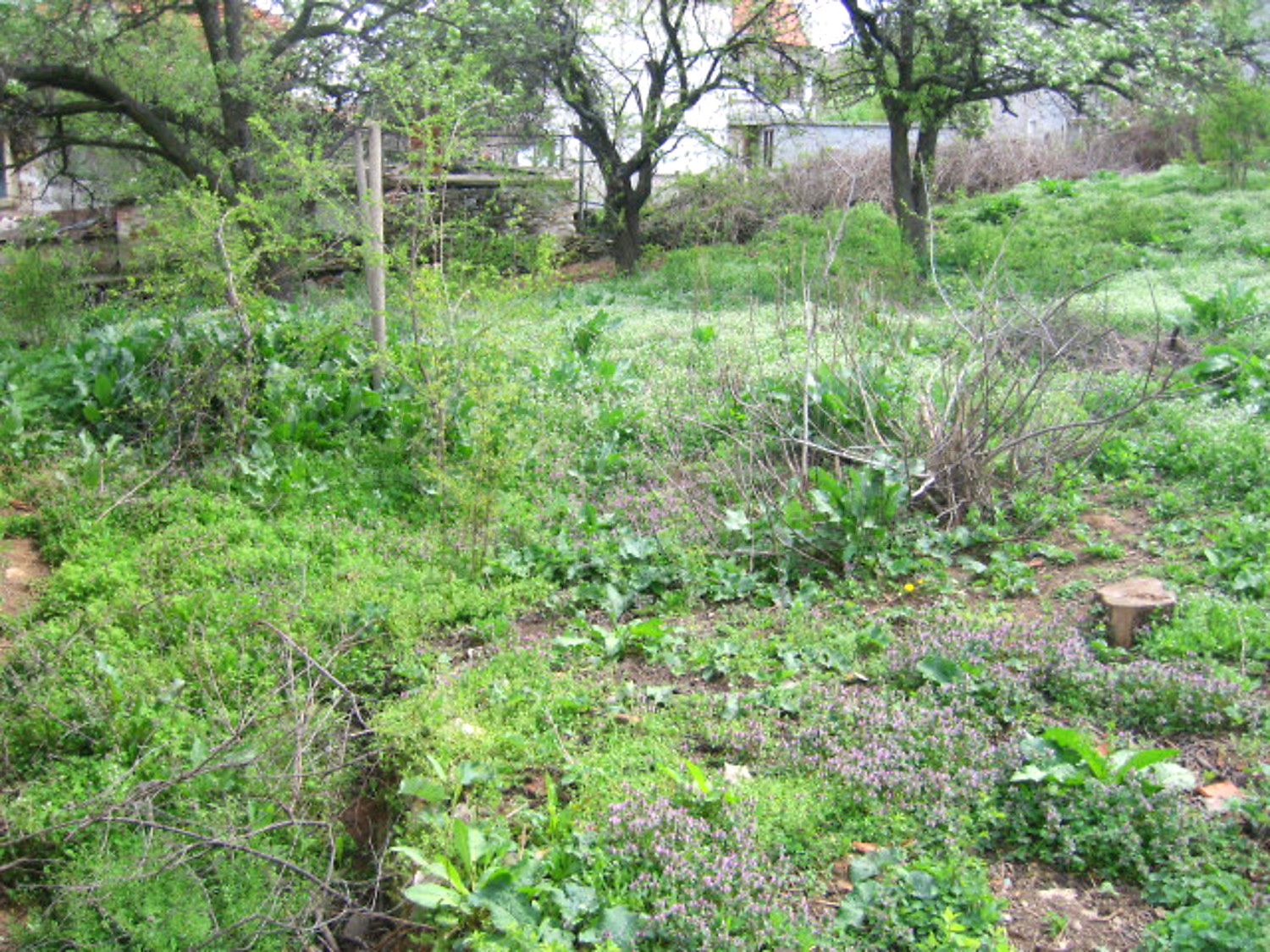 Gallery Picture 16