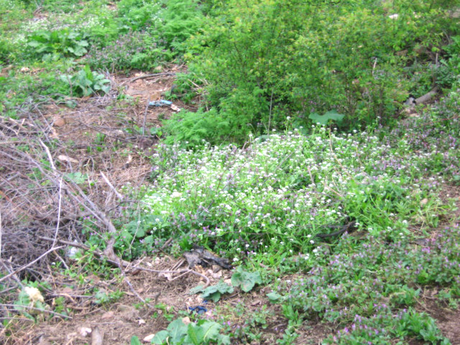 Gallery Picture 18